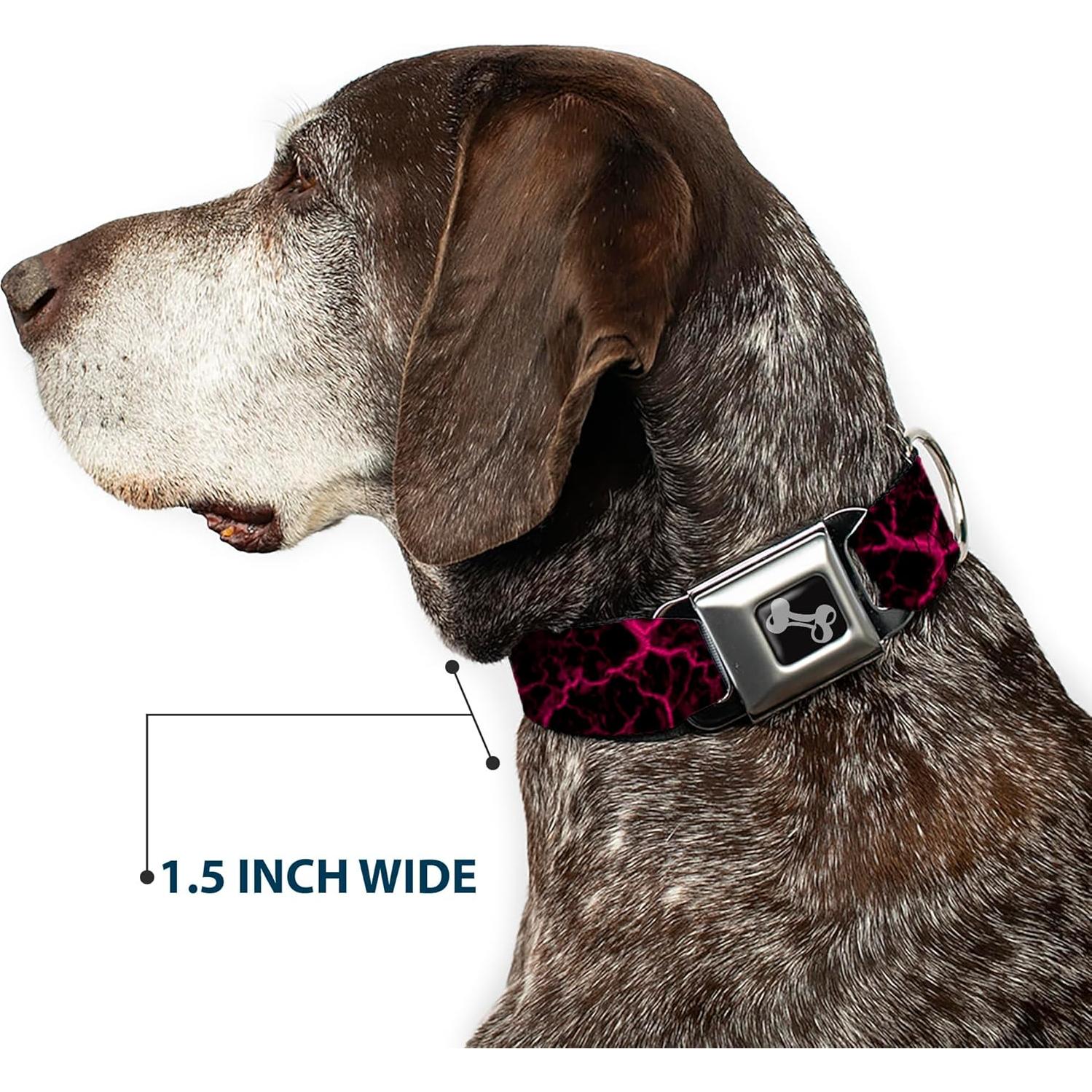 Collar para perro ajustable Buckle-Down 24-33 cm arte Cartoon Network