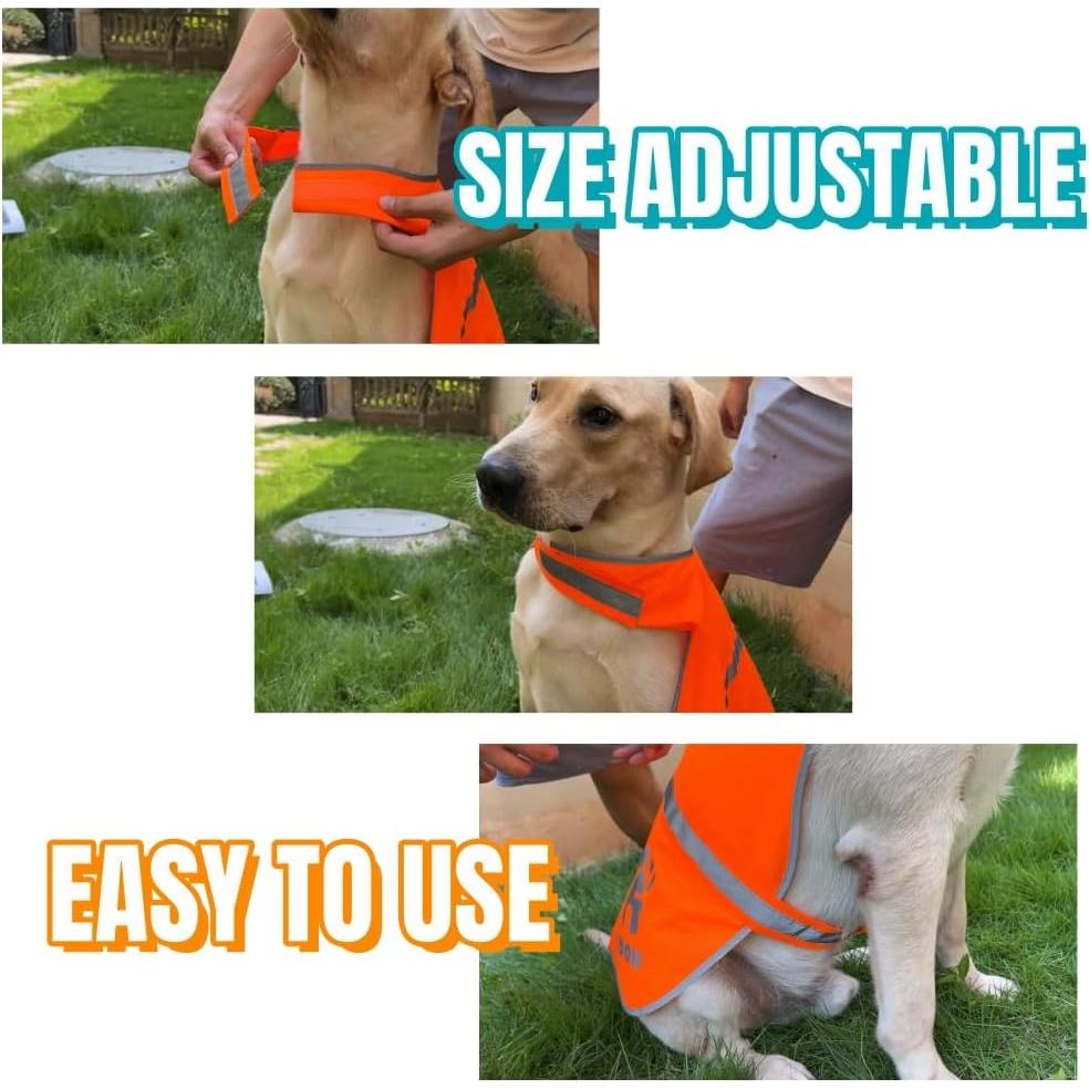 Chaleco Reflectante para Perros IDOU Naranja Tamaño S