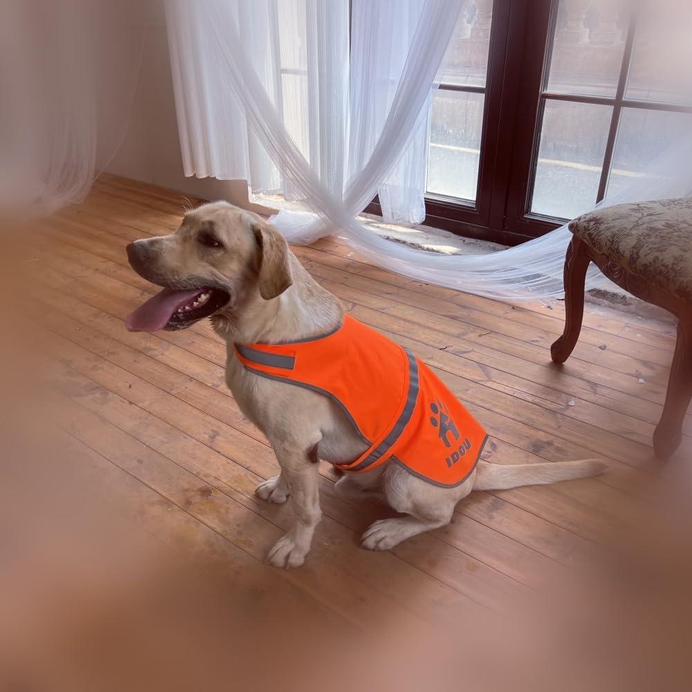 Chaleco Reflectante para Perros IDOU Naranja Tamaño S