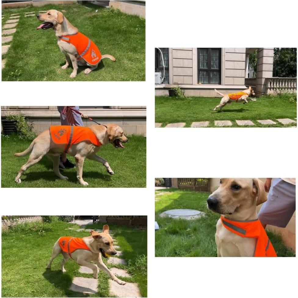 Chaleco Reflectante para Perros IDOU Naranja Tamaño S