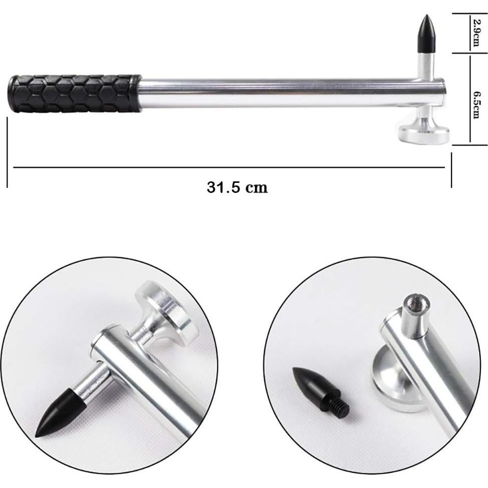 Set de 12 Herramientas de Reparación de Abolladuras LadyRosian