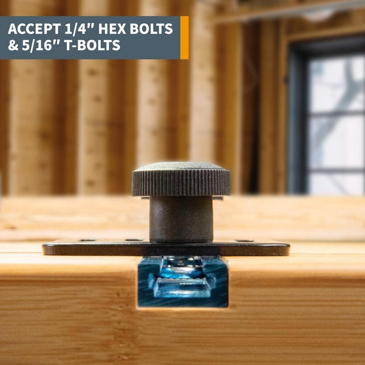 POWERTEC Abrazadera de Palanca 201B + Placa de Montaje 61cm