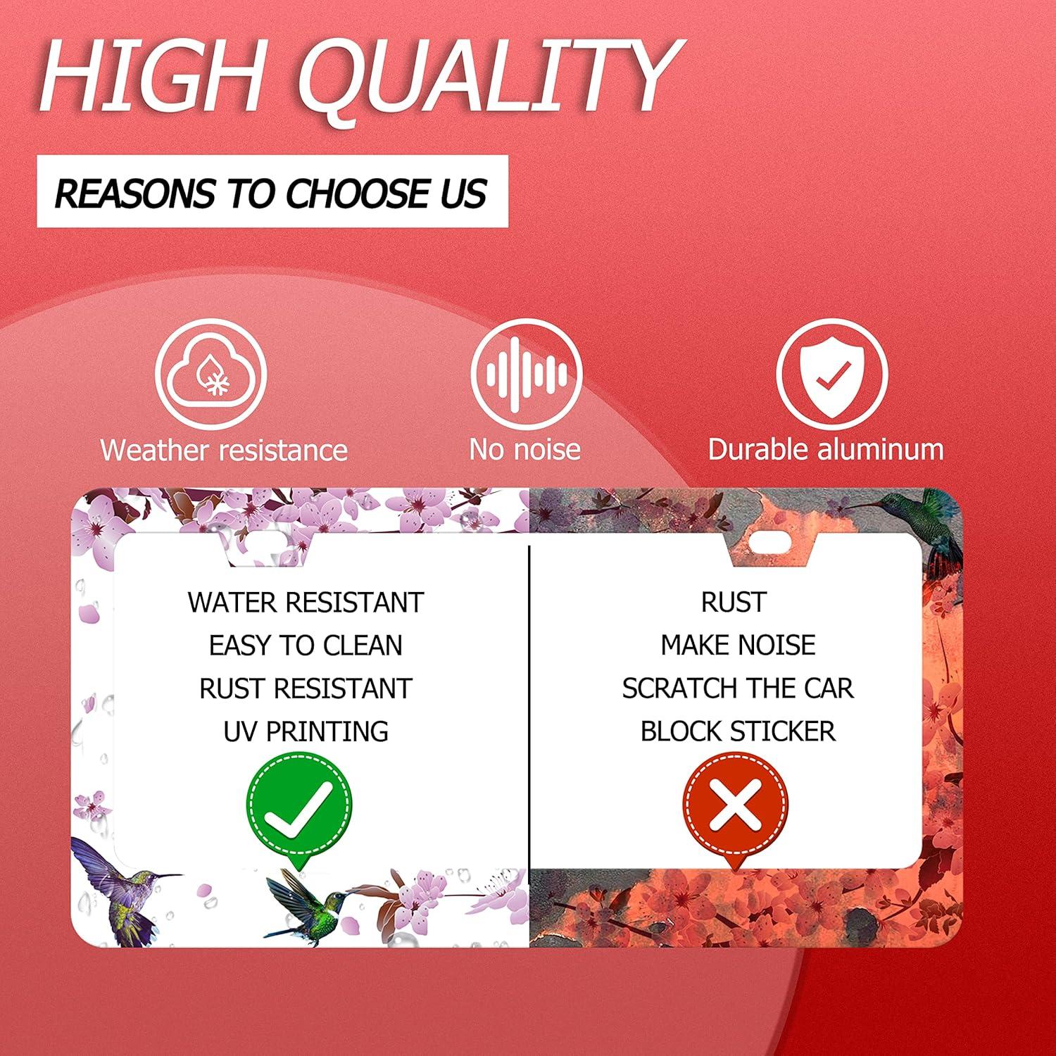 Marco de Placa de Licencia LOISTAVA Flores de Colibrí 2 Pcs