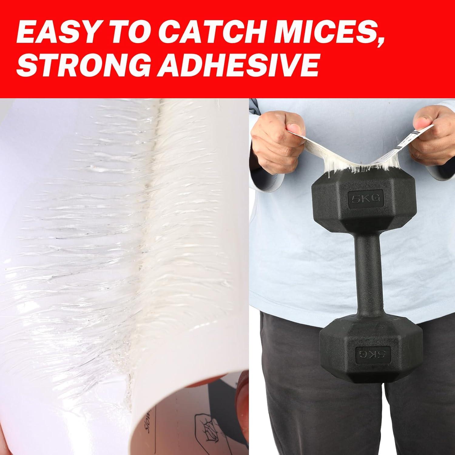 Trampas para Ratones EZ_FAB 10PC Adhesivas Ecológicas