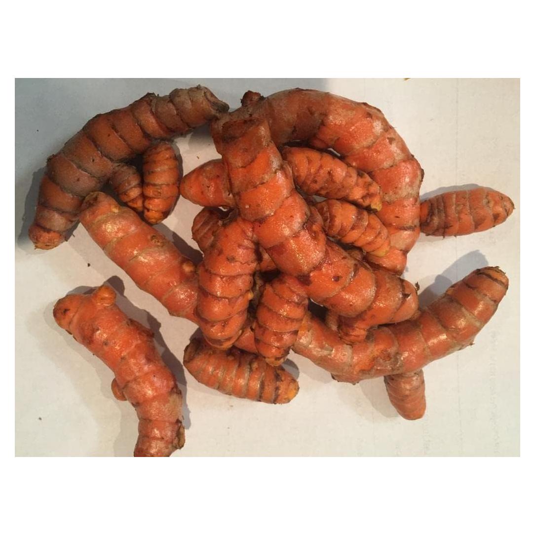 Raíz de Cúrcuma Orgánica Fresca - 0.45 kg - HABP GLOBAL