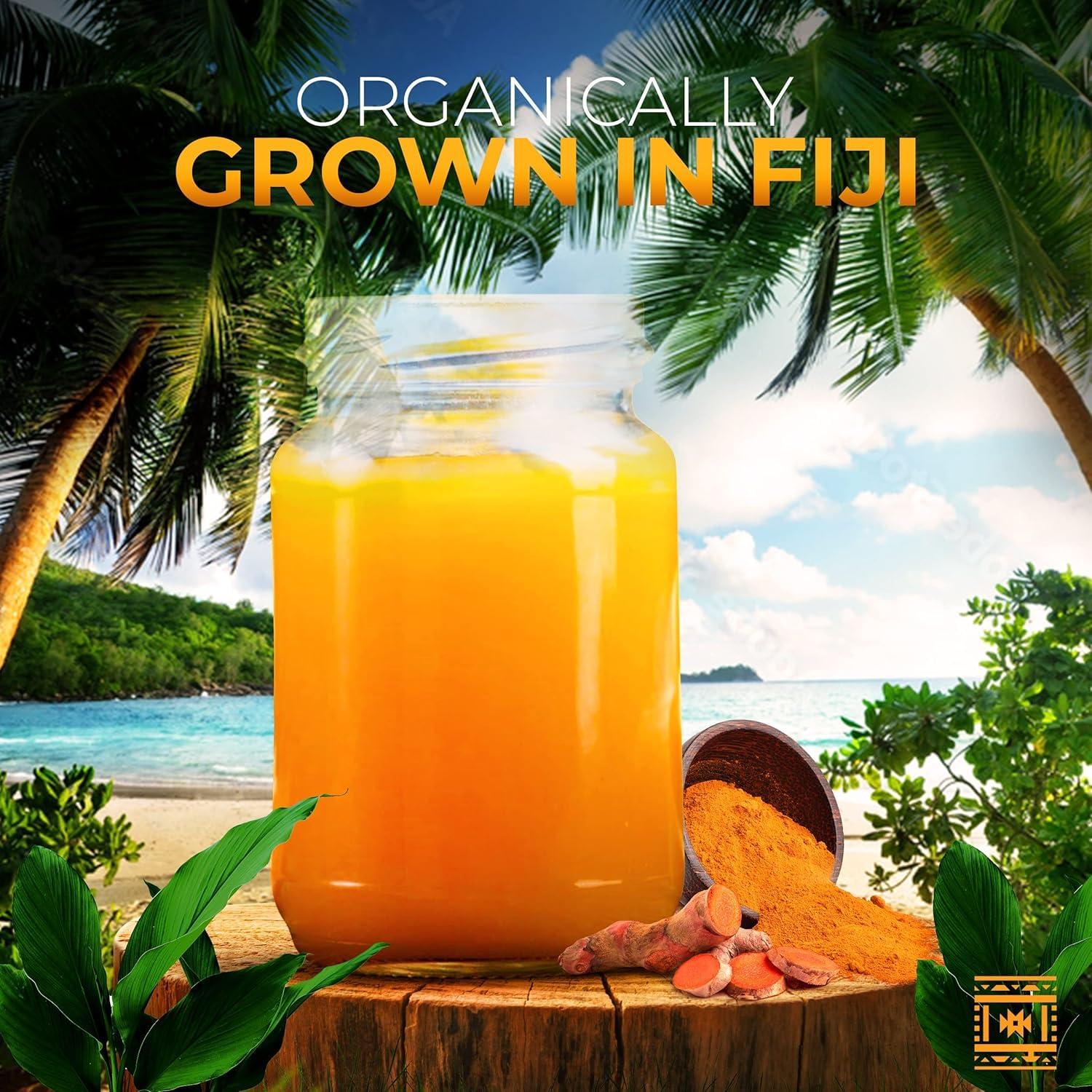 Raíz de Cúrcuma Orgánica Fresca - 0.45 kg - HABP GLOBAL