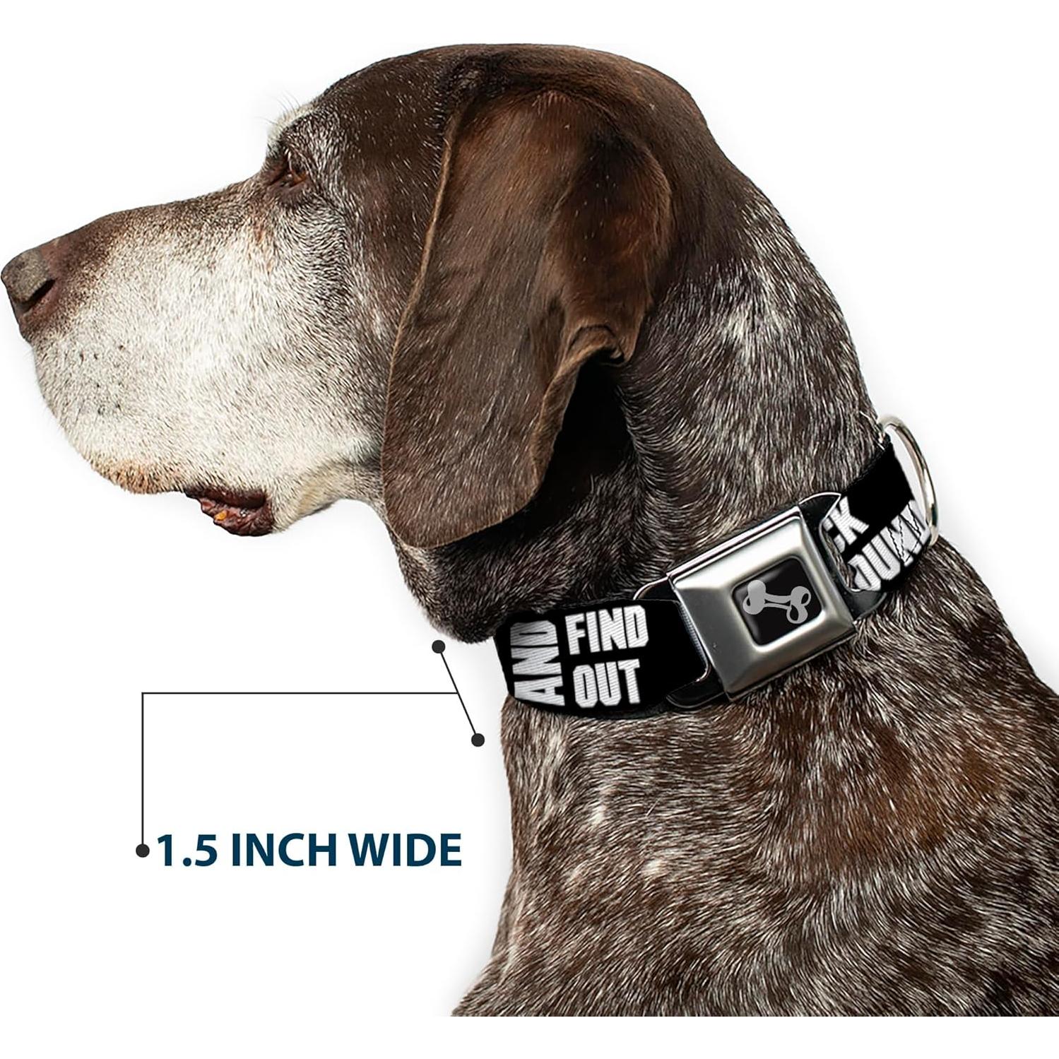 Collar de Perro con Hebilla de Seguridad Buckle-Down 9-15 cm