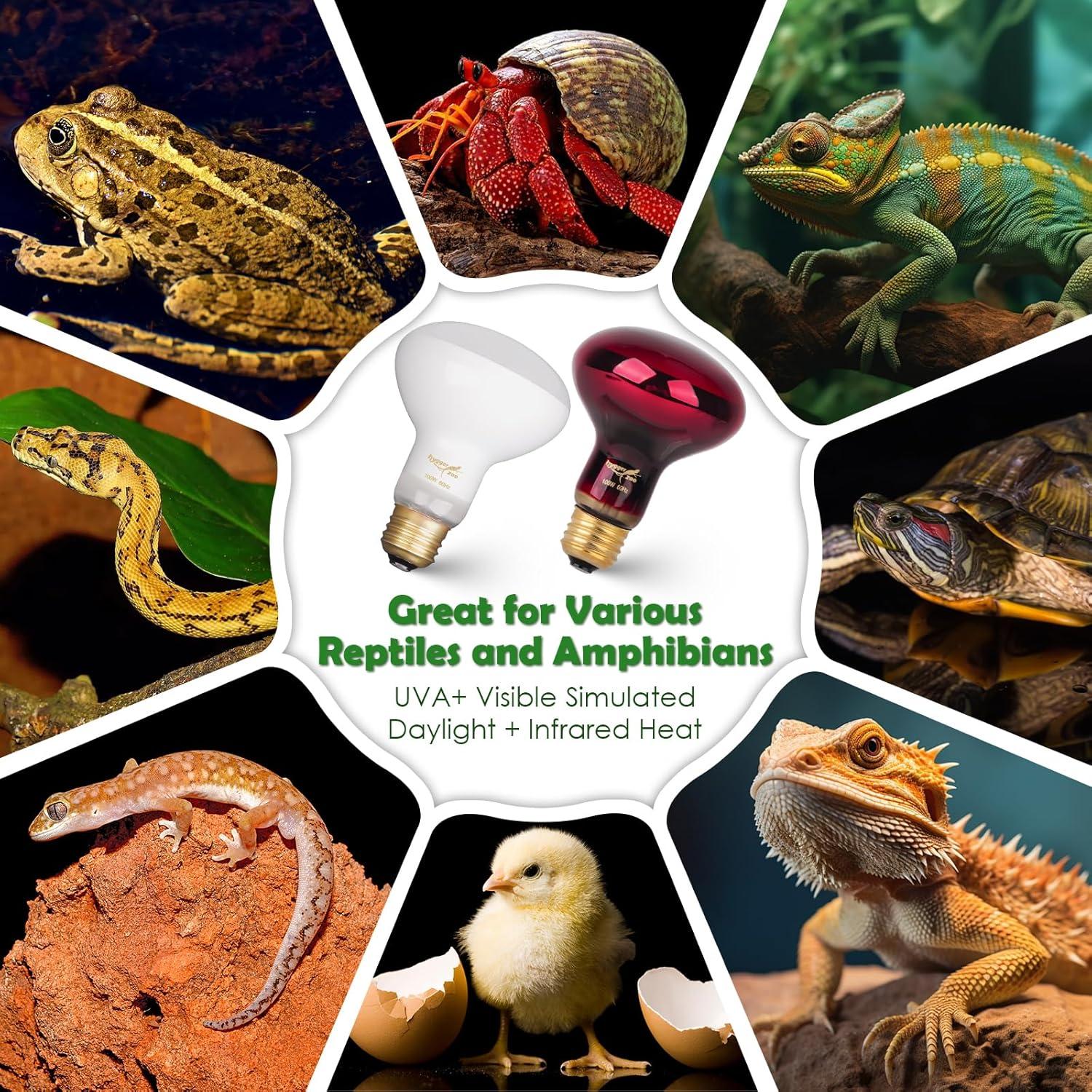 Bombillas de Calor Infrarrojo 75W Hygger Zoo para Reptiles 2PCS