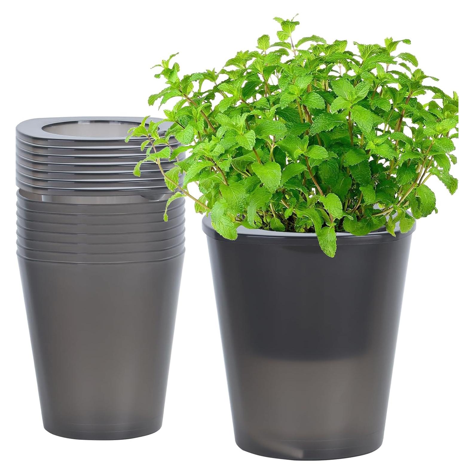 Maceta Autorriego Oliz 8 Pcs 10.9 cm para Interior