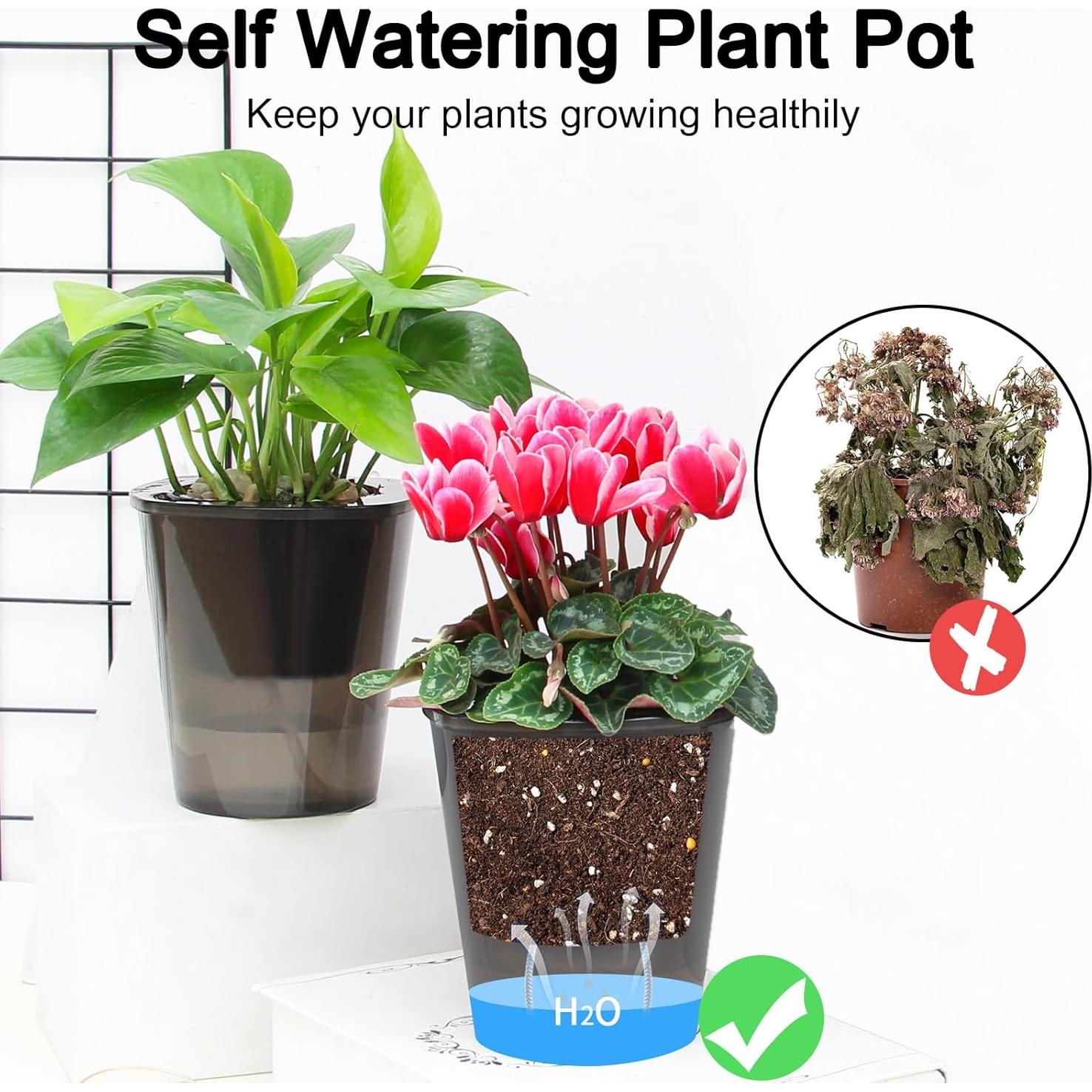 Maceta Autorriego Oliz 8 Pcs 10.9 cm para Interior