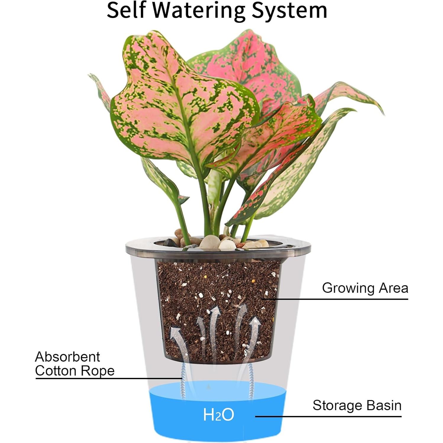 Maceta Autorriego Oliz 8 Pcs 10.9 cm para Interior