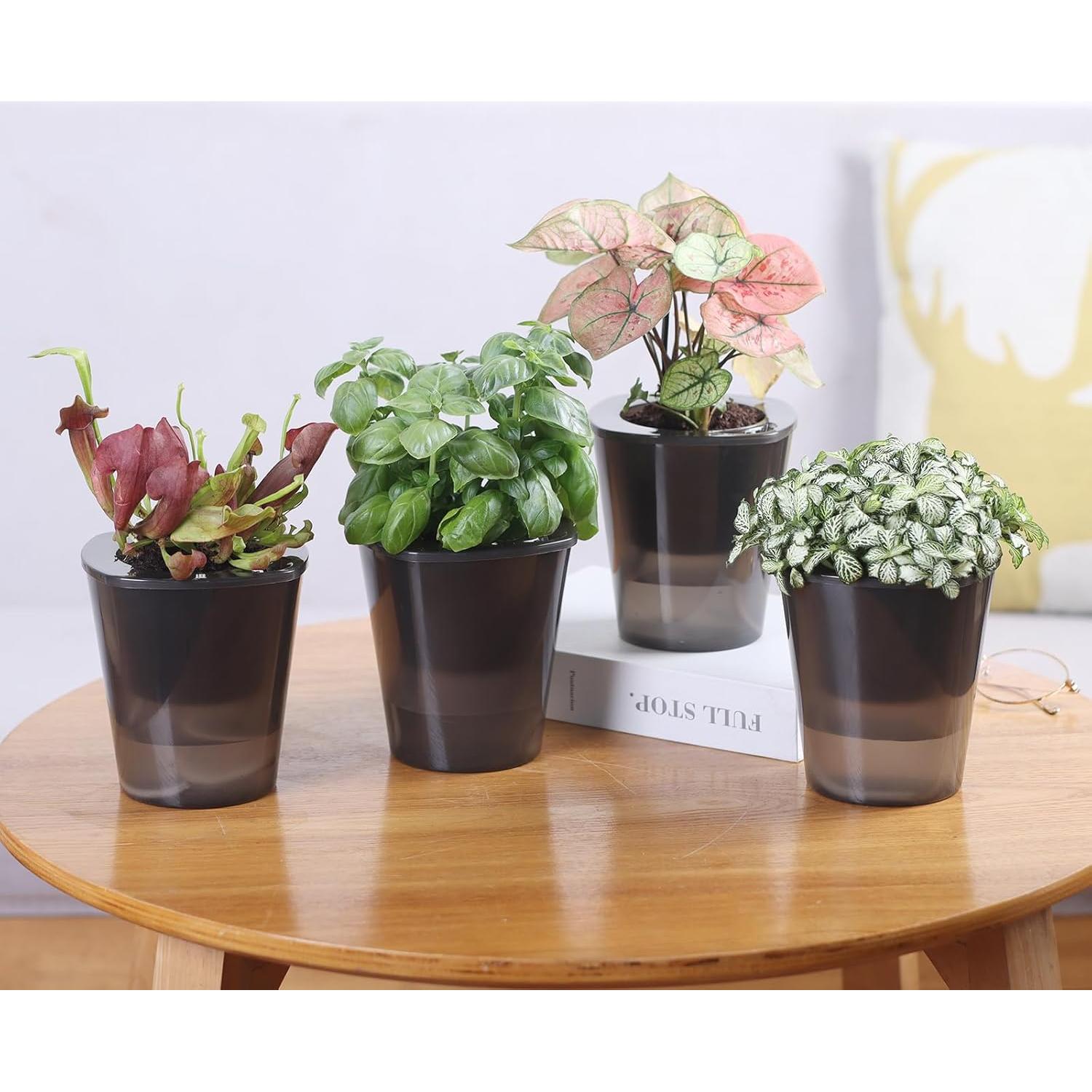 Maceta Autorriego Oliz 8 Pcs 10.9 cm para Interior