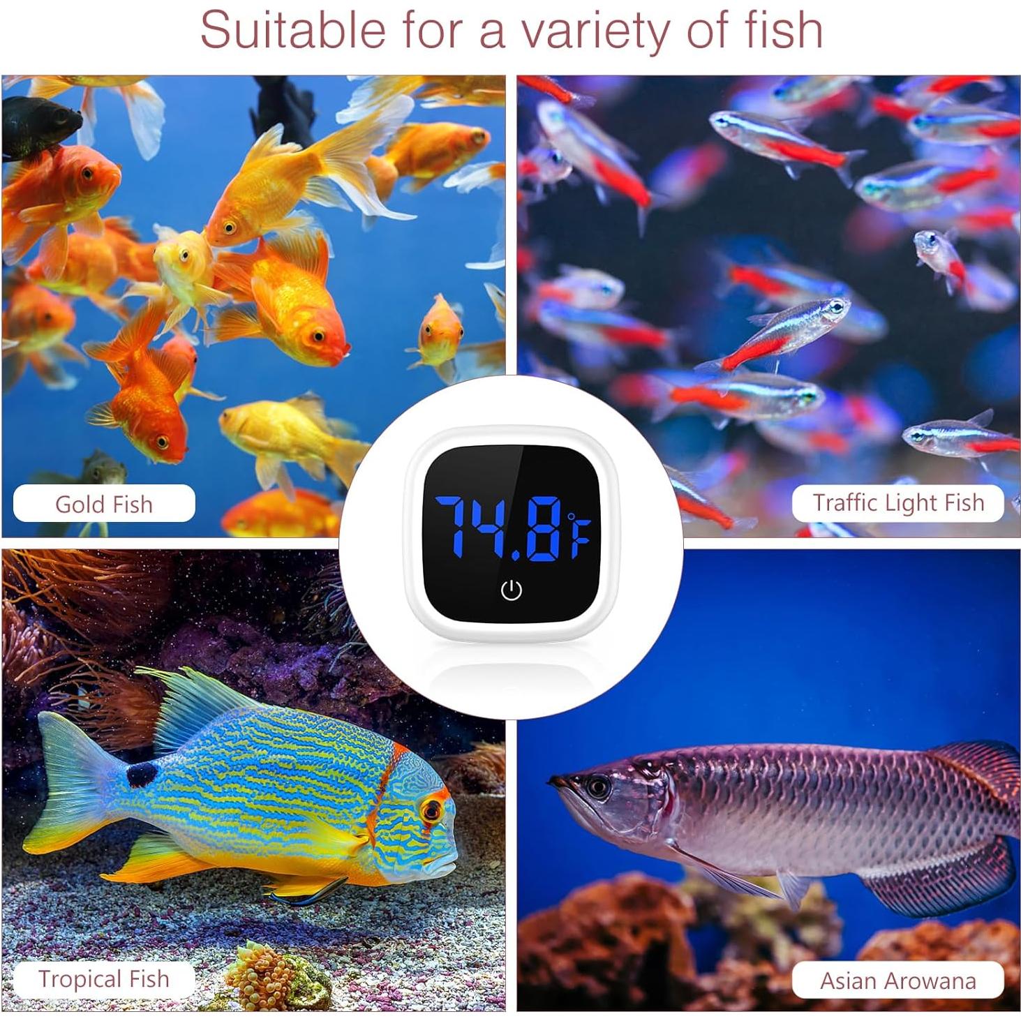 Termómetro Digital de Acuario LOFICOPER LED Adherible 0-60°C