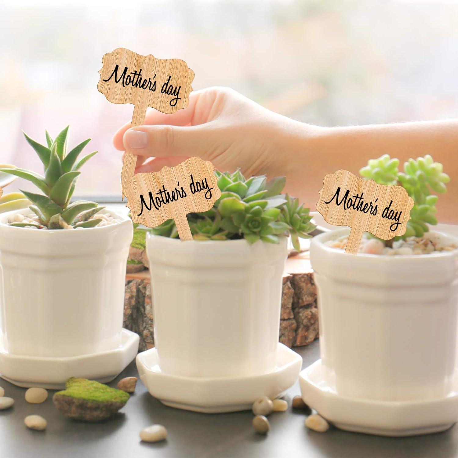 Etiquetas de Plantas de Bambú Whaline 60 Pcs con Marcador