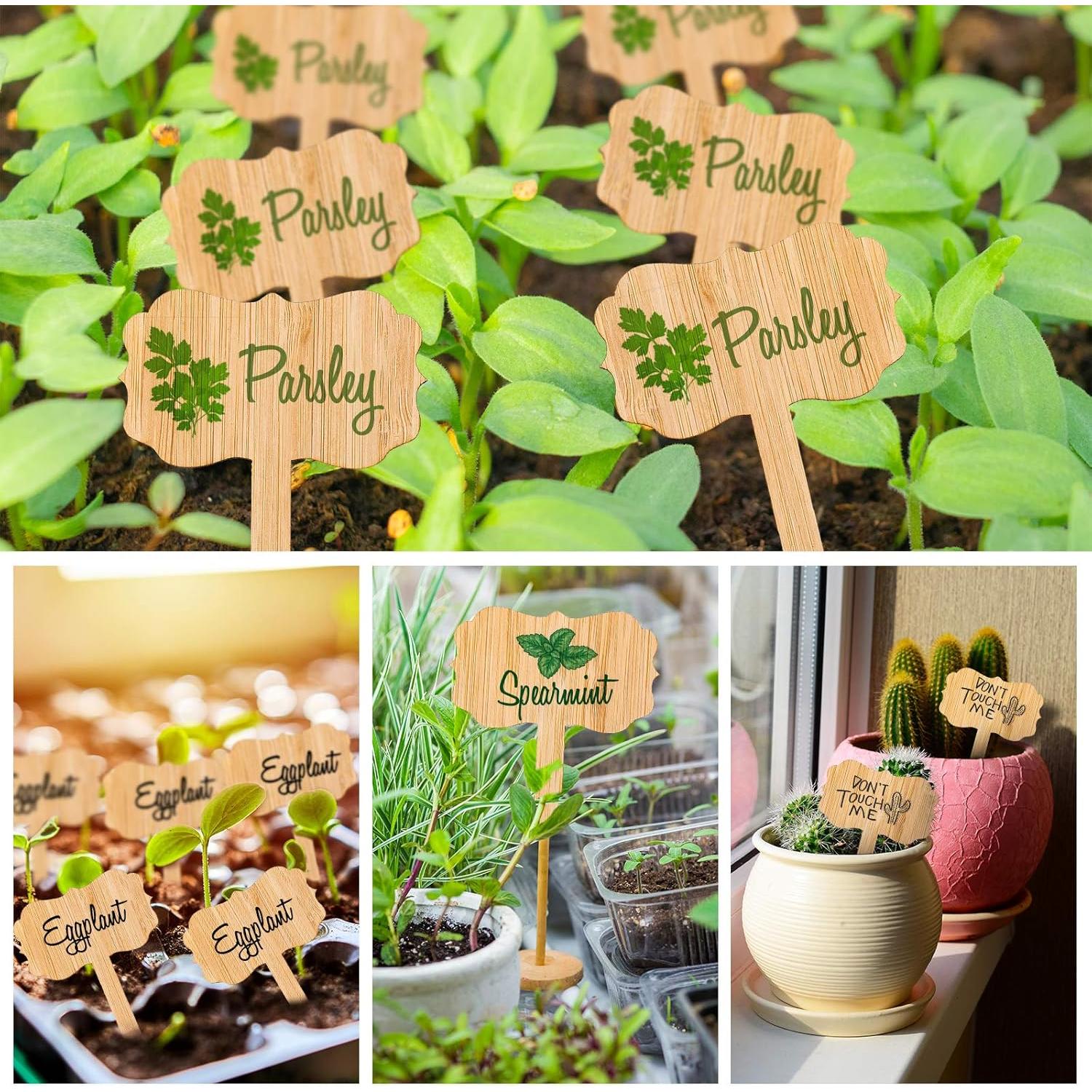 Etiquetas de Plantas de Bambú Whaline 60 Pcs con Marcador
