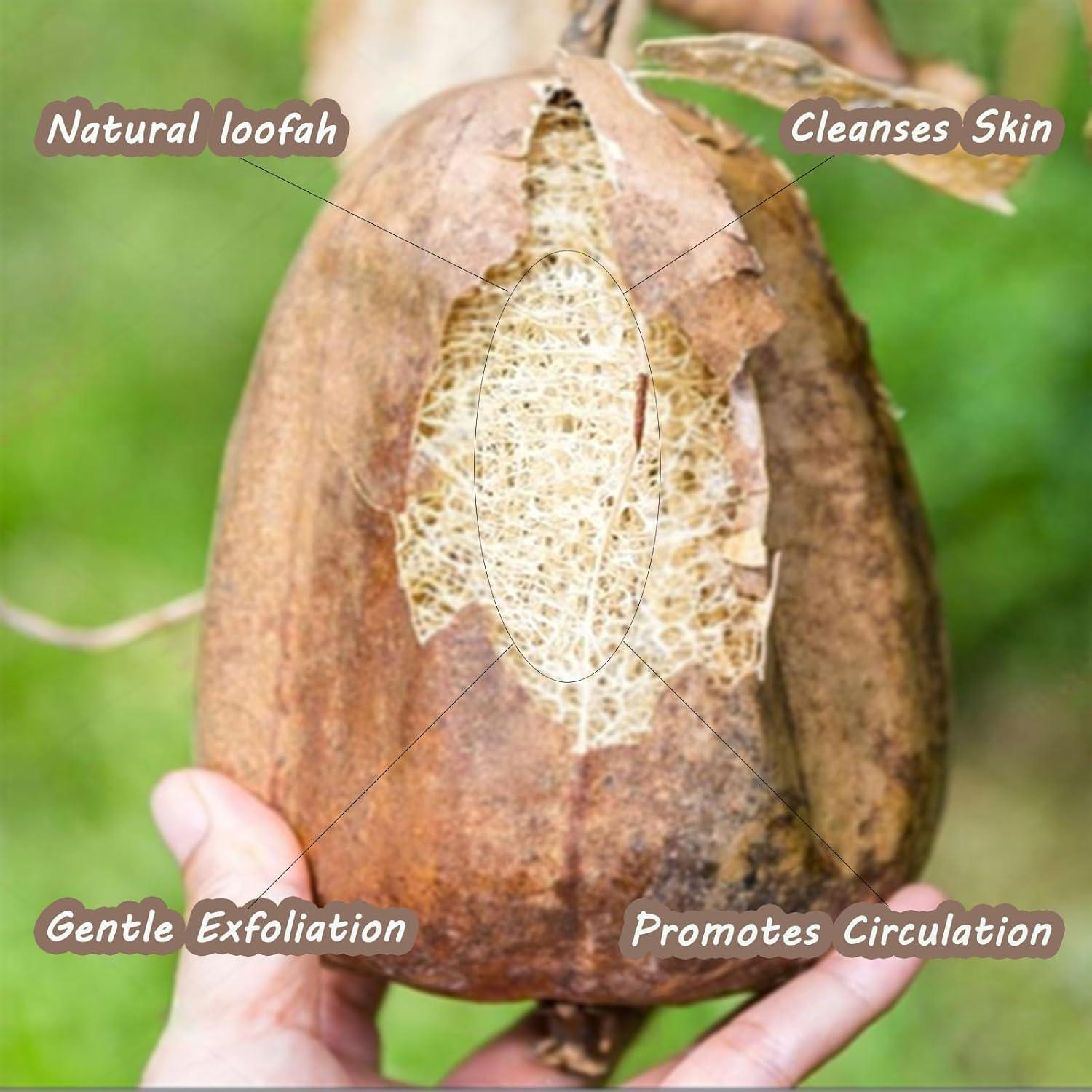 Juego de Luffa Natural JouiiSiYa 3 Piezas Exfoliador Ducha