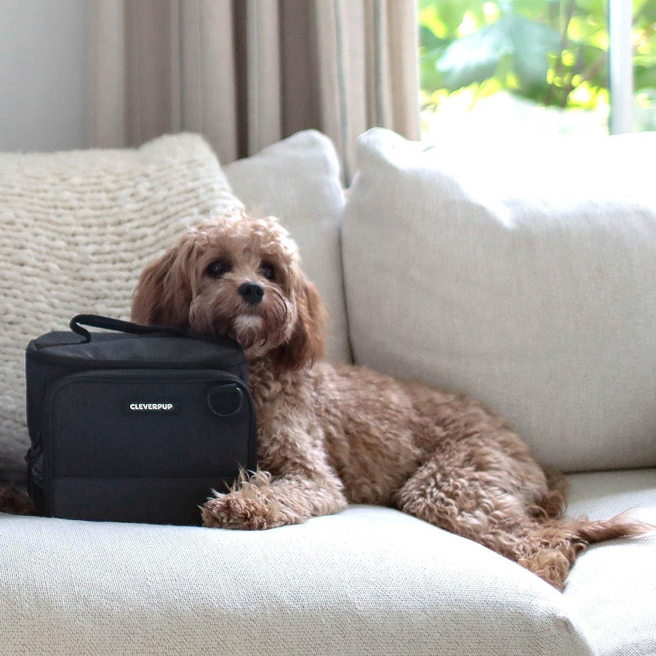 Kit de Viaje para Perros Cleverpup 7 Piezas Grafito