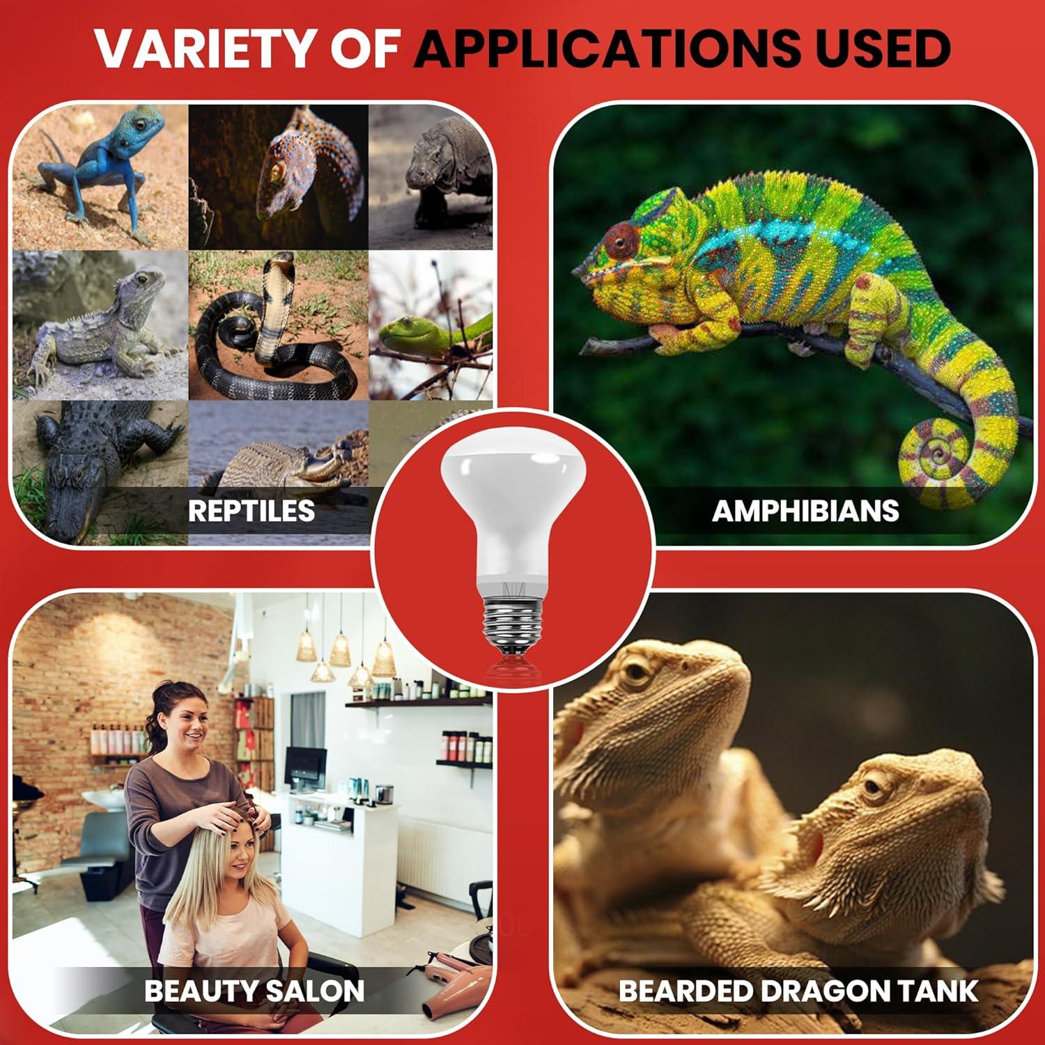 Bombillas de Calor UVA Bulbmaster 50W para Reptiles - Paquete de 2