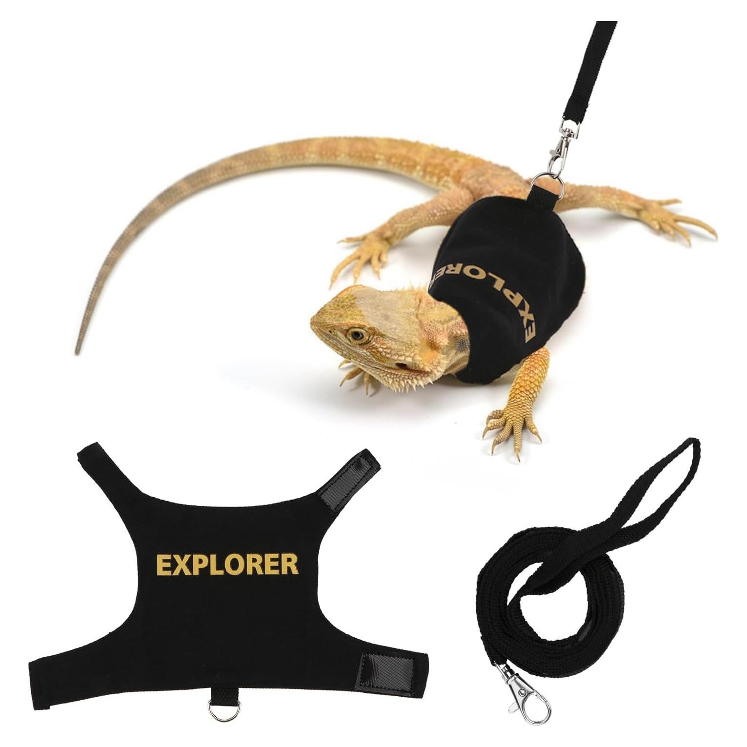 Conjunto Arnés y Correa Hypeety Dragón Barbudo Negro