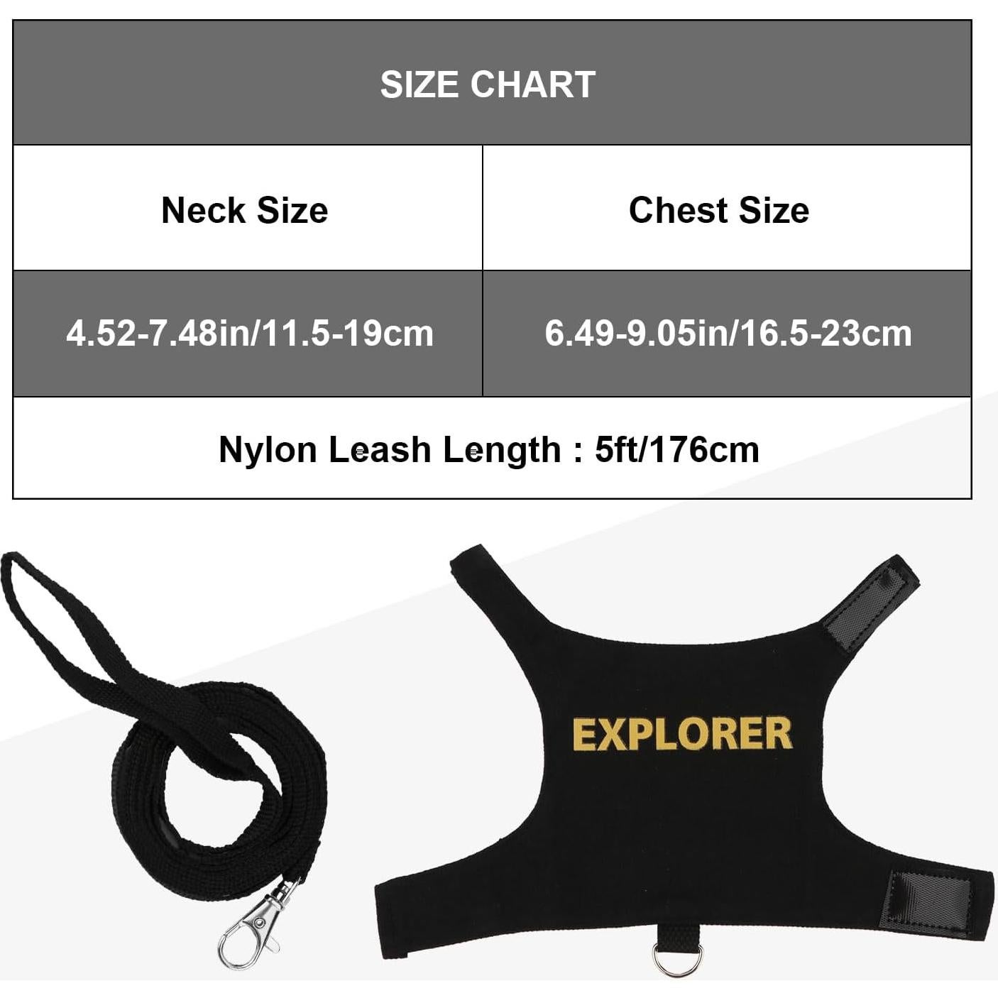 Conjunto Arnés y Correa Hypeety Dragón Barbudo Negro