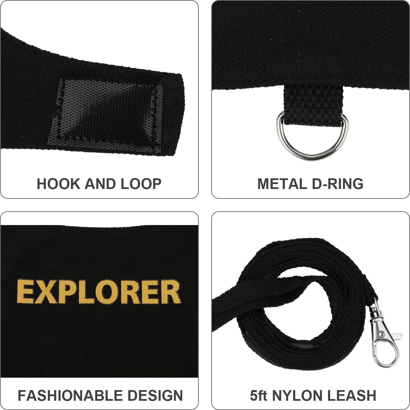 Conjunto Arnés y Correa Hypeety Dragón Barbudo Negro