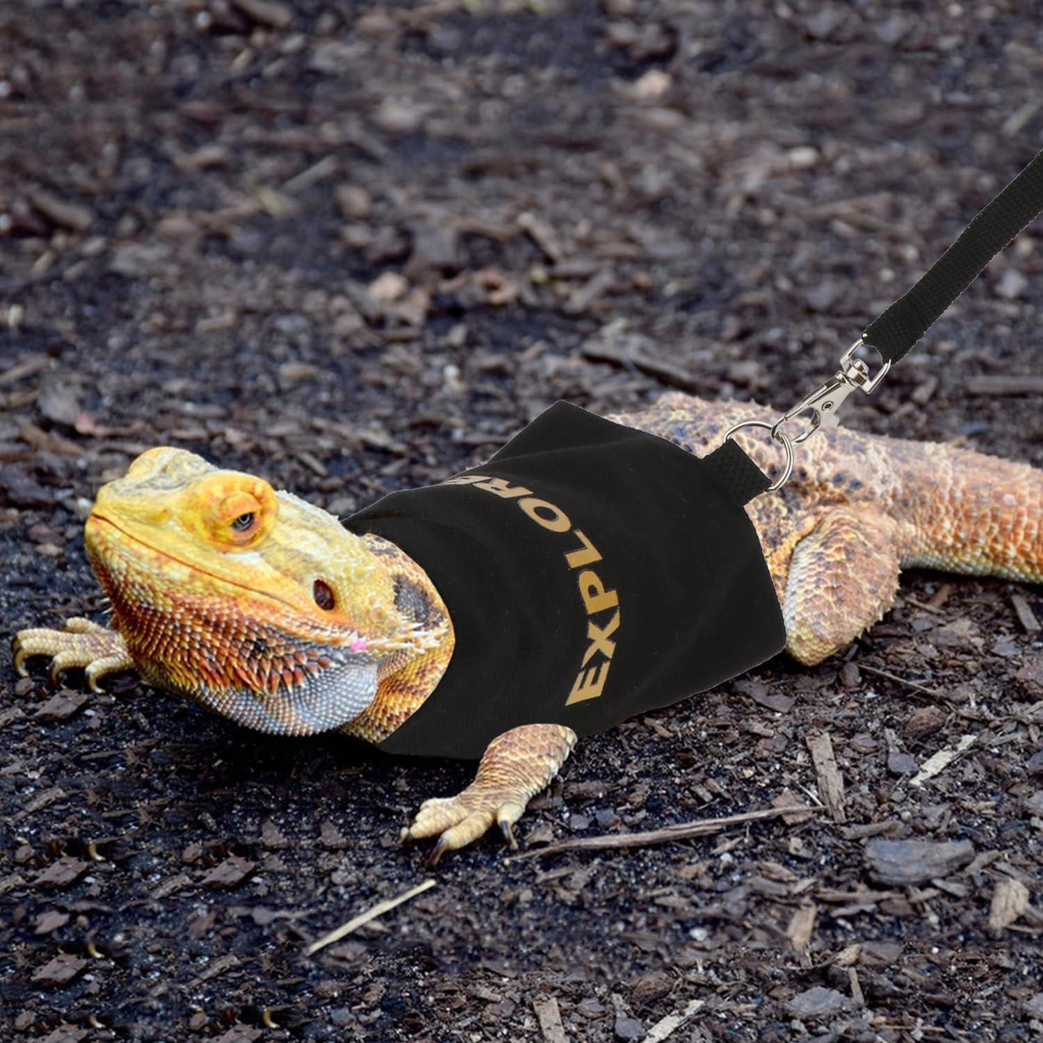 Conjunto Arnés y Correa Hypeety Dragón Barbudo Negro