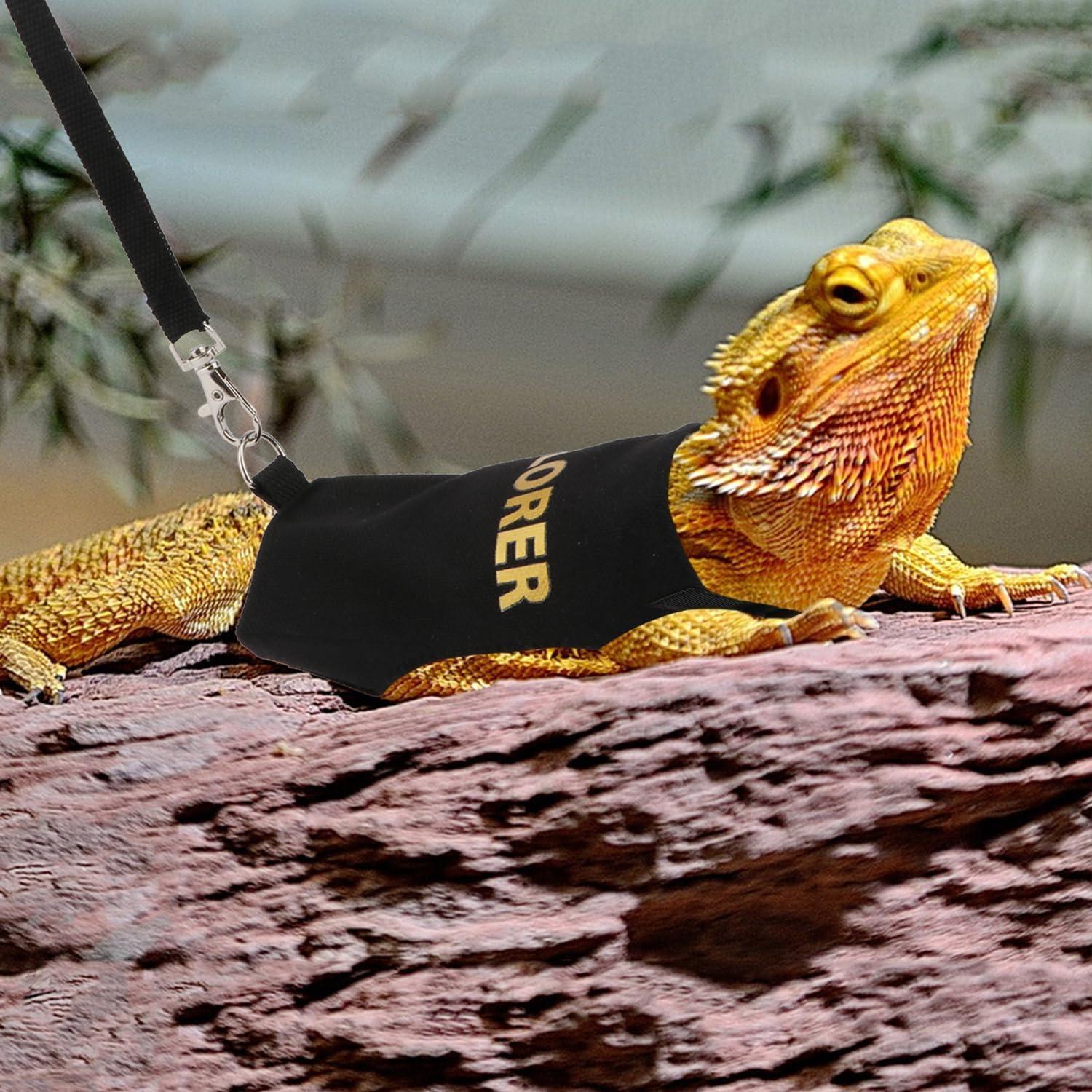 Conjunto Arnés y Correa Hypeety Dragón Barbudo Negro