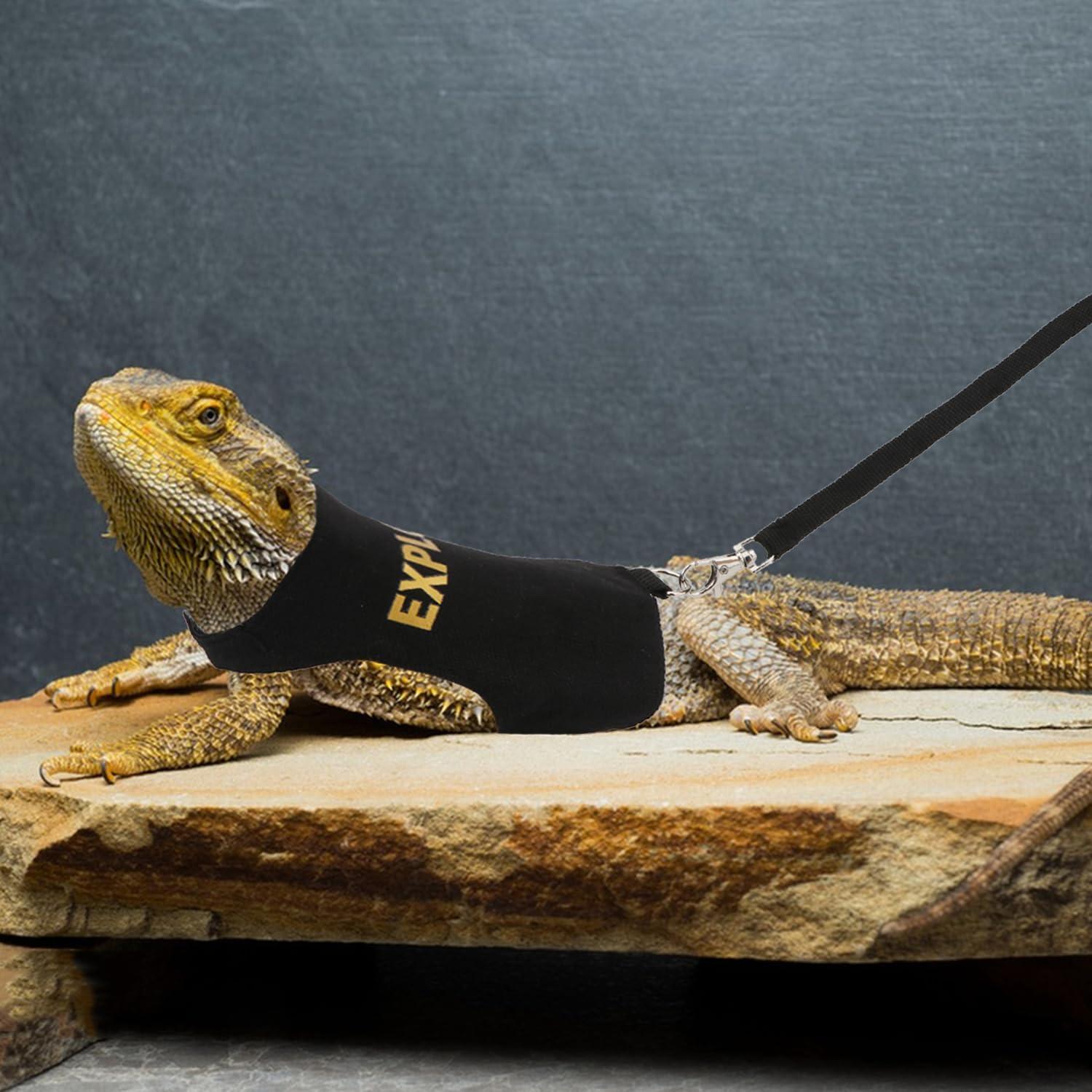 Conjunto Arnés y Correa Hypeety Dragón Barbudo Negro