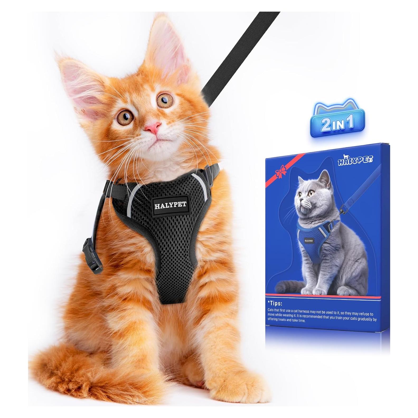 Conjunto Arnés y Correa para Gato Halypet H200 Pro Negro
