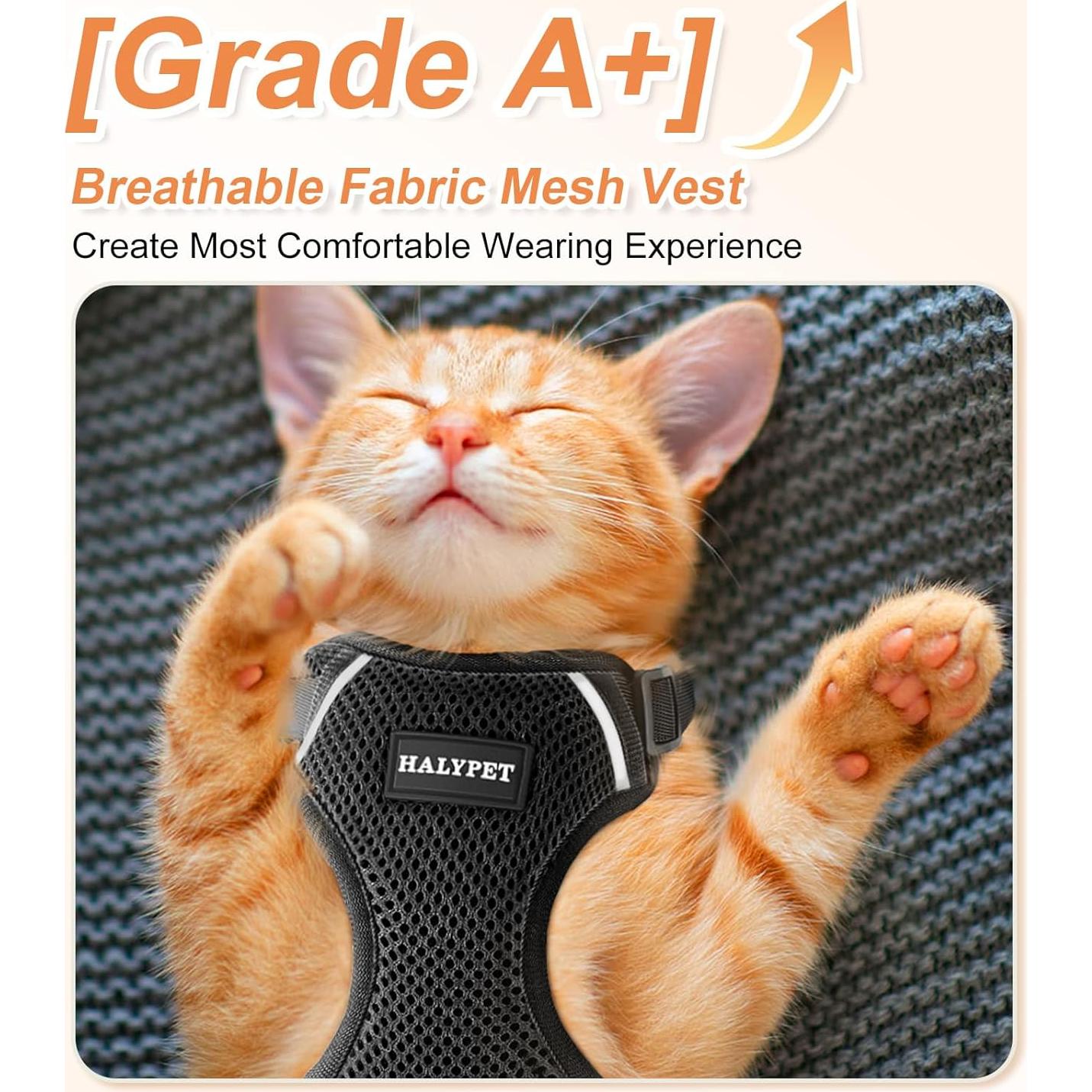 Conjunto Arnés y Correa para Gato Halypet H200 Pro Negro