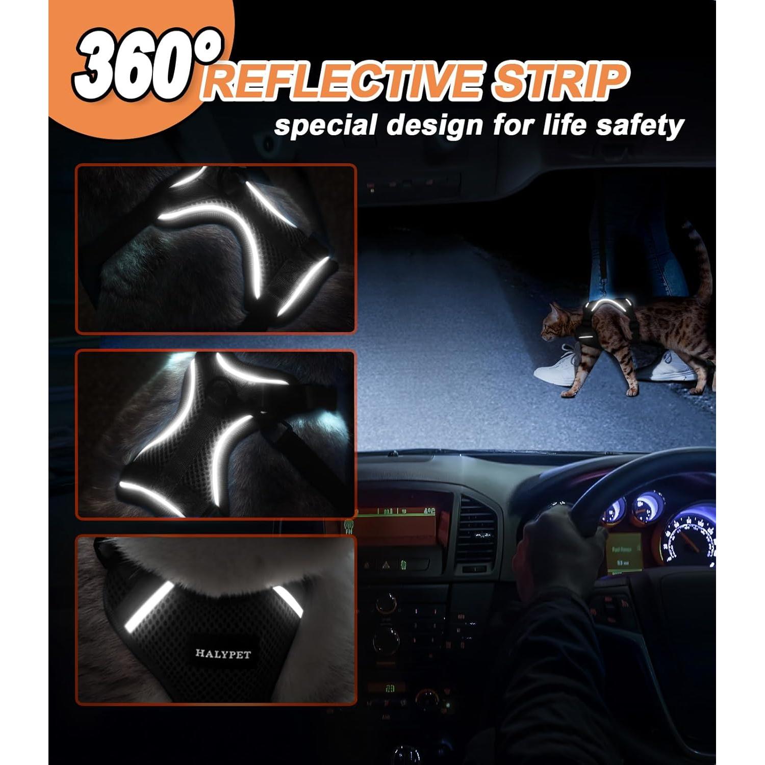 Conjunto Arnés y Correa para Gato Halypet H200 Pro Negro