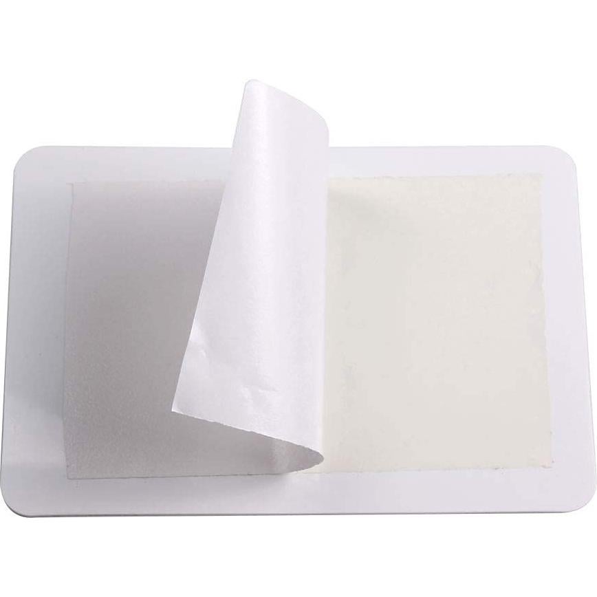 15 Piezas Cubierta Plástica Estampado Uñas ZhuoGuang 10x15cm