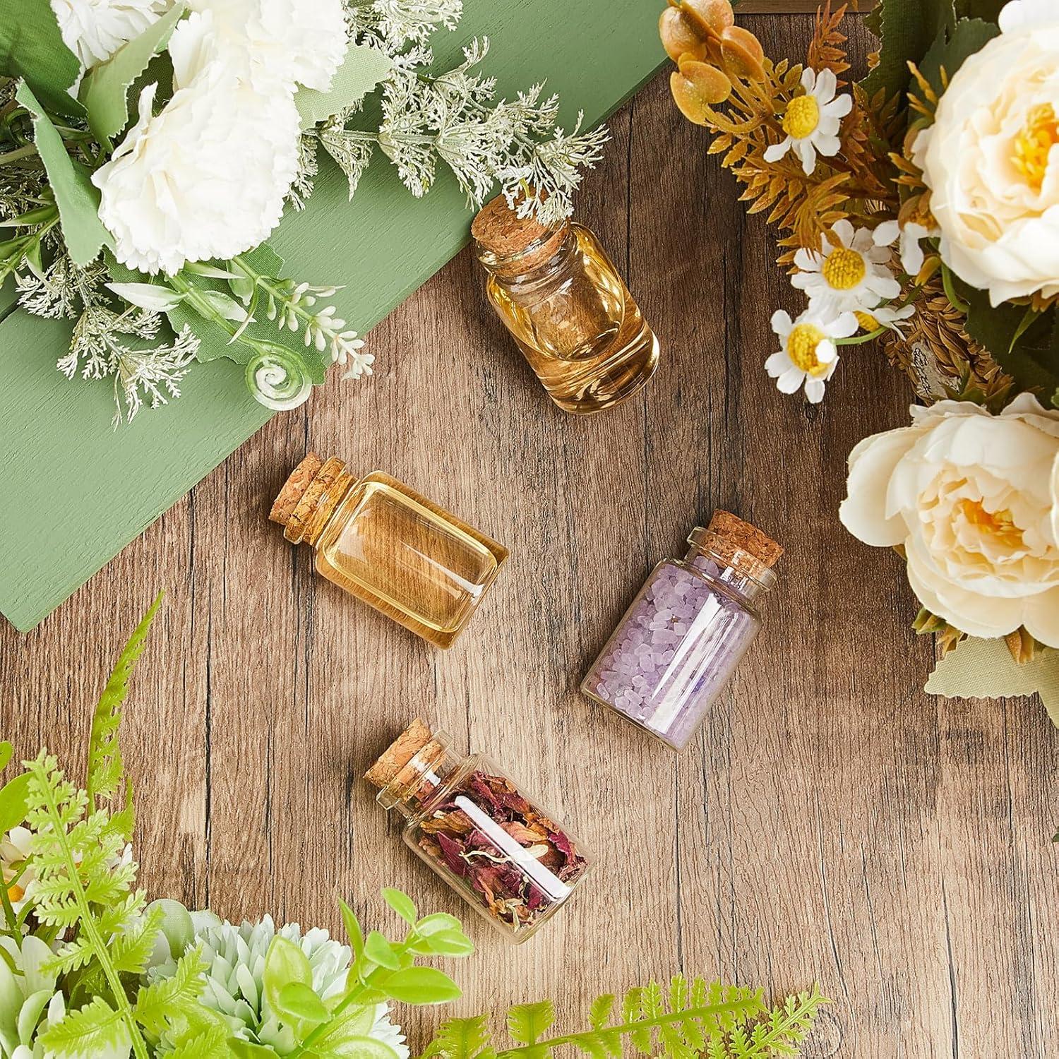 Gerrii 100 Mini Botellas de Vidrio 20ml con Tapones de Madera