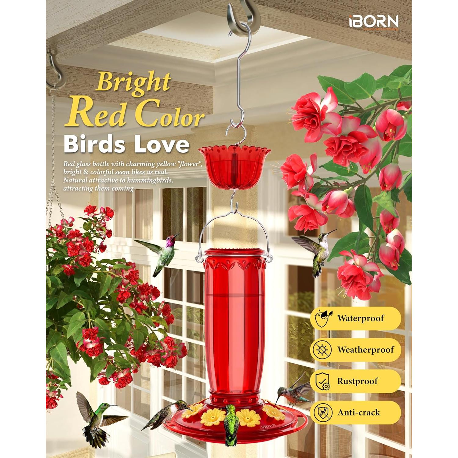 Alimentador de Colibrí iBorn de Vidrio 16oz con Trampa para Hormigas