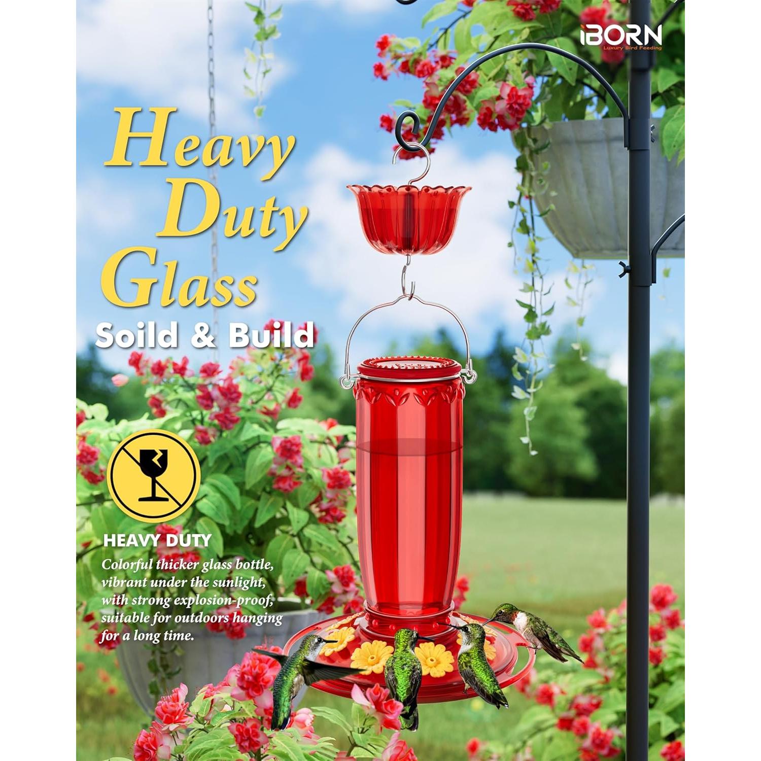 Alimentador de Colibrí iBorn de Vidrio 16oz con Trampa para Hormigas