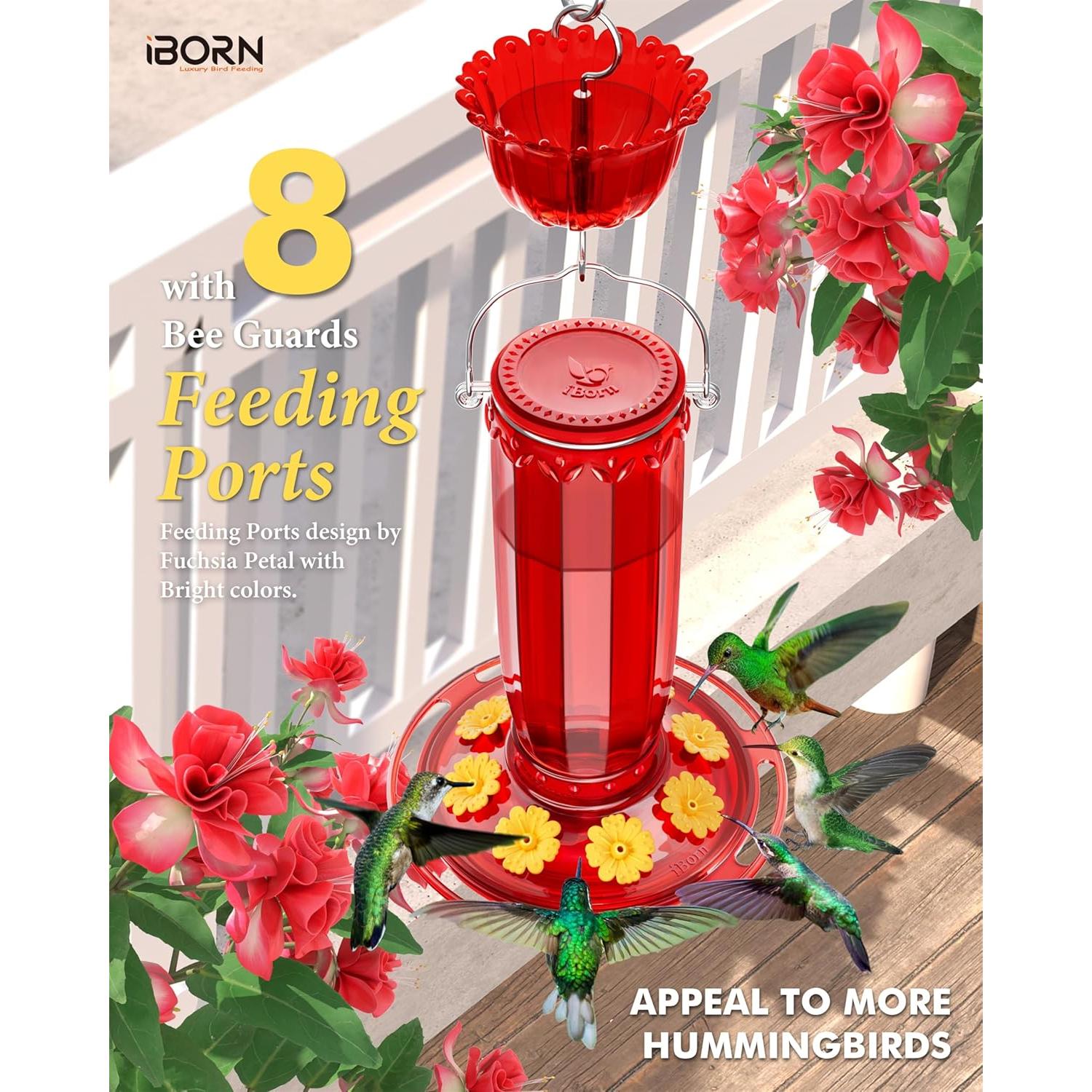 Alimentador de Colibrí iBorn de Vidrio 16oz con Trampa para Hormigas