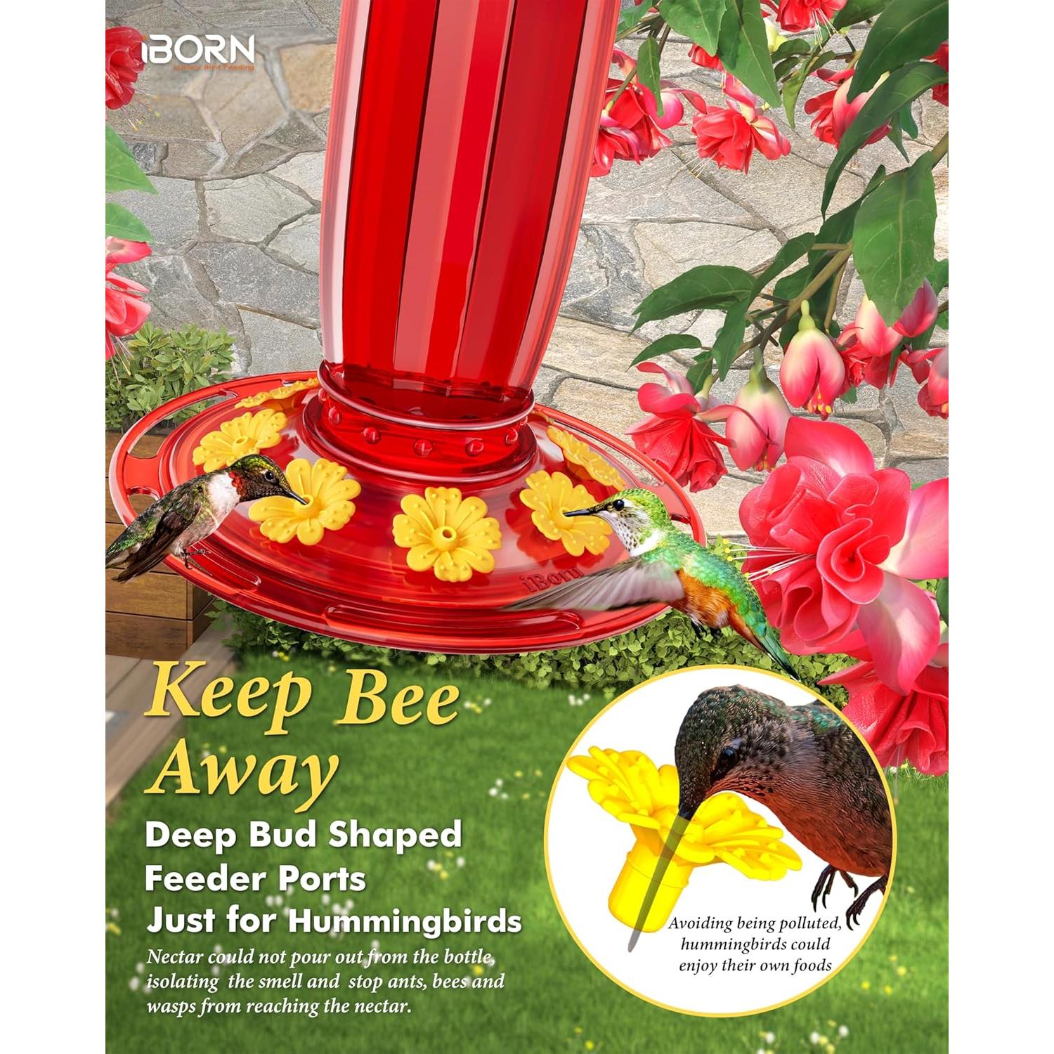 Alimentador de Colibrí iBorn de Vidrio 16oz con Trampa para Hormigas