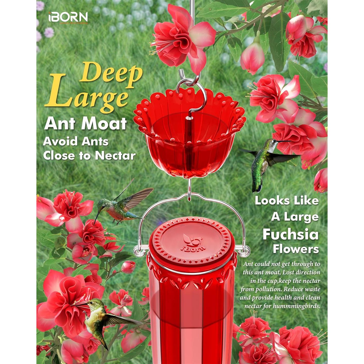 Alimentador de Colibrí iBorn de Vidrio 16oz con Trampa para Hormigas