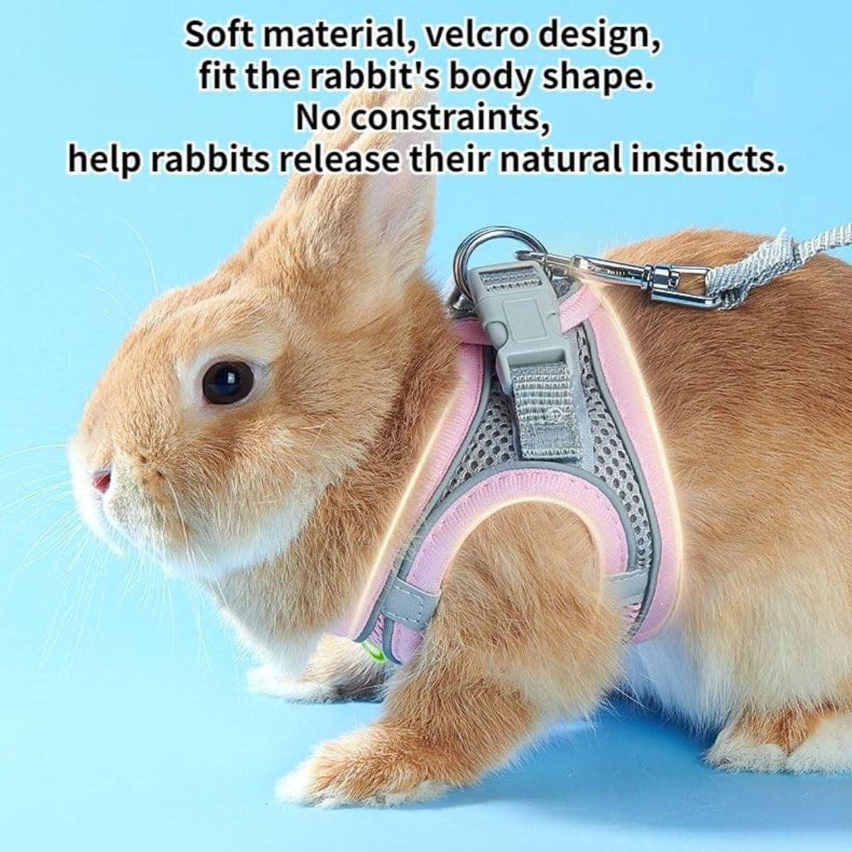 Arnés para Conejo Copfeu S Verde Reflectante Transpirable