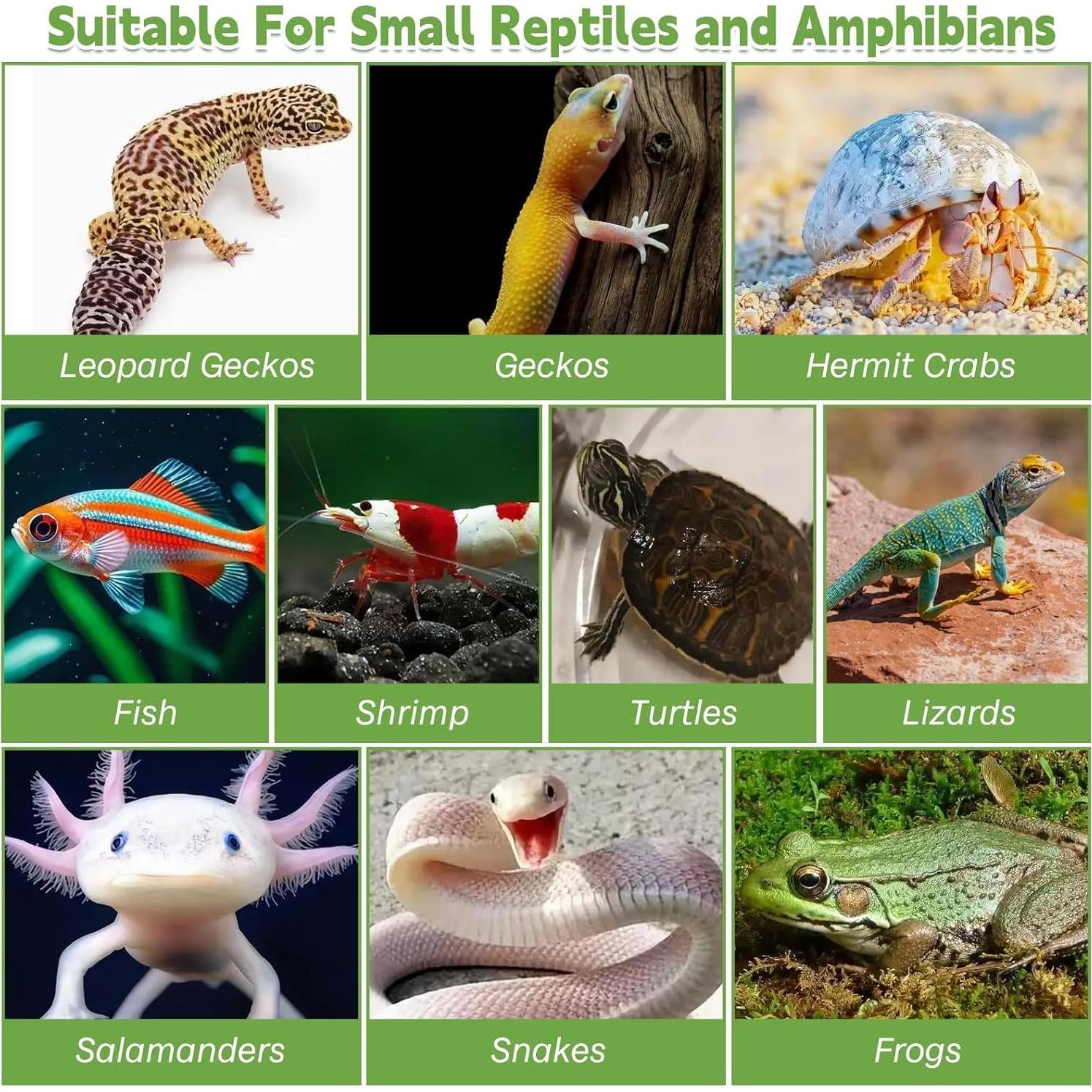 Escondite para Reptiles PINVNBY 18x12 cm Resina Acuario