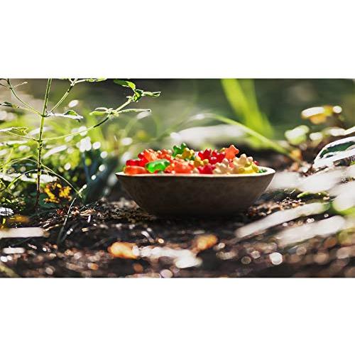 Ositos de Goma Black Forest 2.27 kg - Snacks Frutales