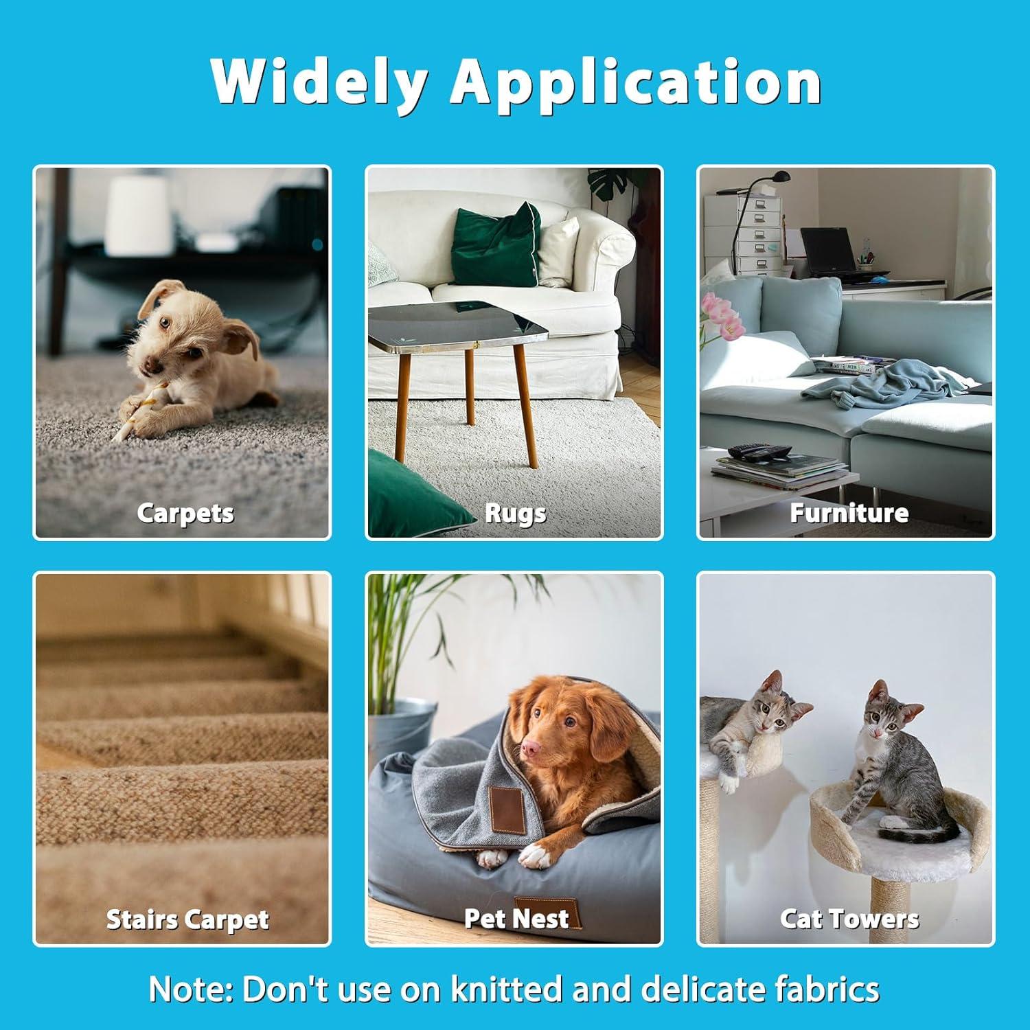 Kit de Rastrillo para Alfombra Eaersan 3 en 1 - Mango Ajustable 114.3 cm