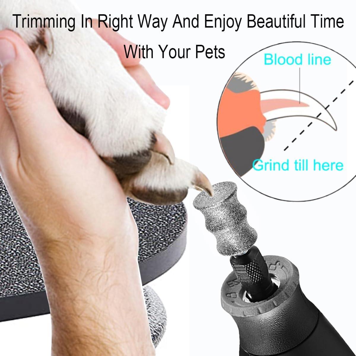 Puntas de Dremel para Uñas de Perro OVATAVO 2XL - Acicalamiento