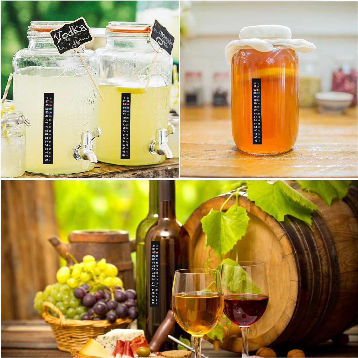 Termómetro Adhesivo para Acuario Kombucha J710654936357 4-36°C