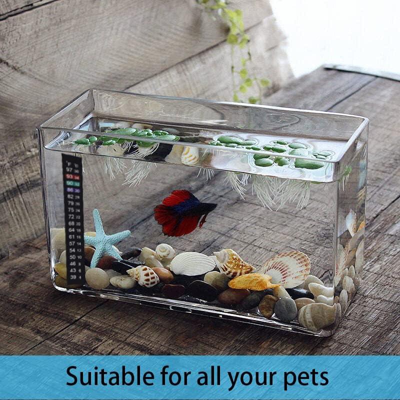 Termómetro Adhesivo para Acuario Kombucha J710654936357 4-36°C