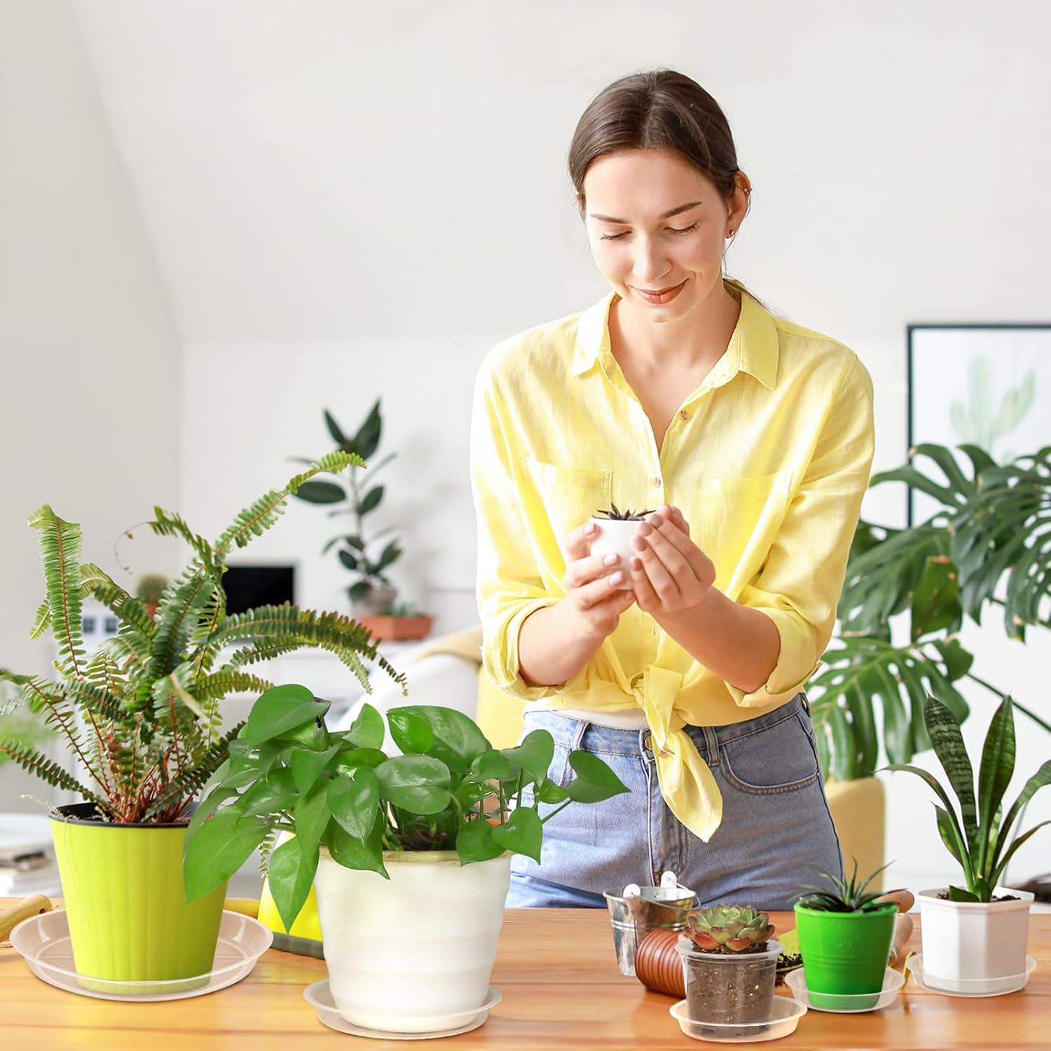 Paquete de 6 Platillos Transparentes para Macetas 8.4 cm FUIJOL