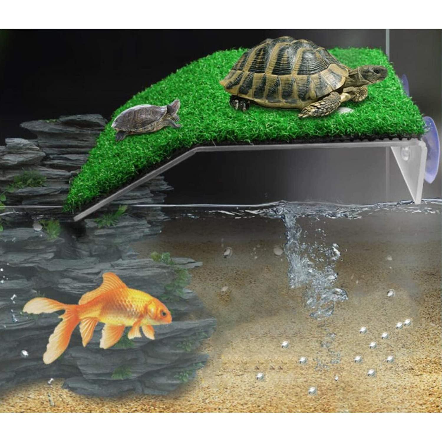 Plataforma de Sol para Tortugas Pequeñas XMHF - Rampa Antideslizante