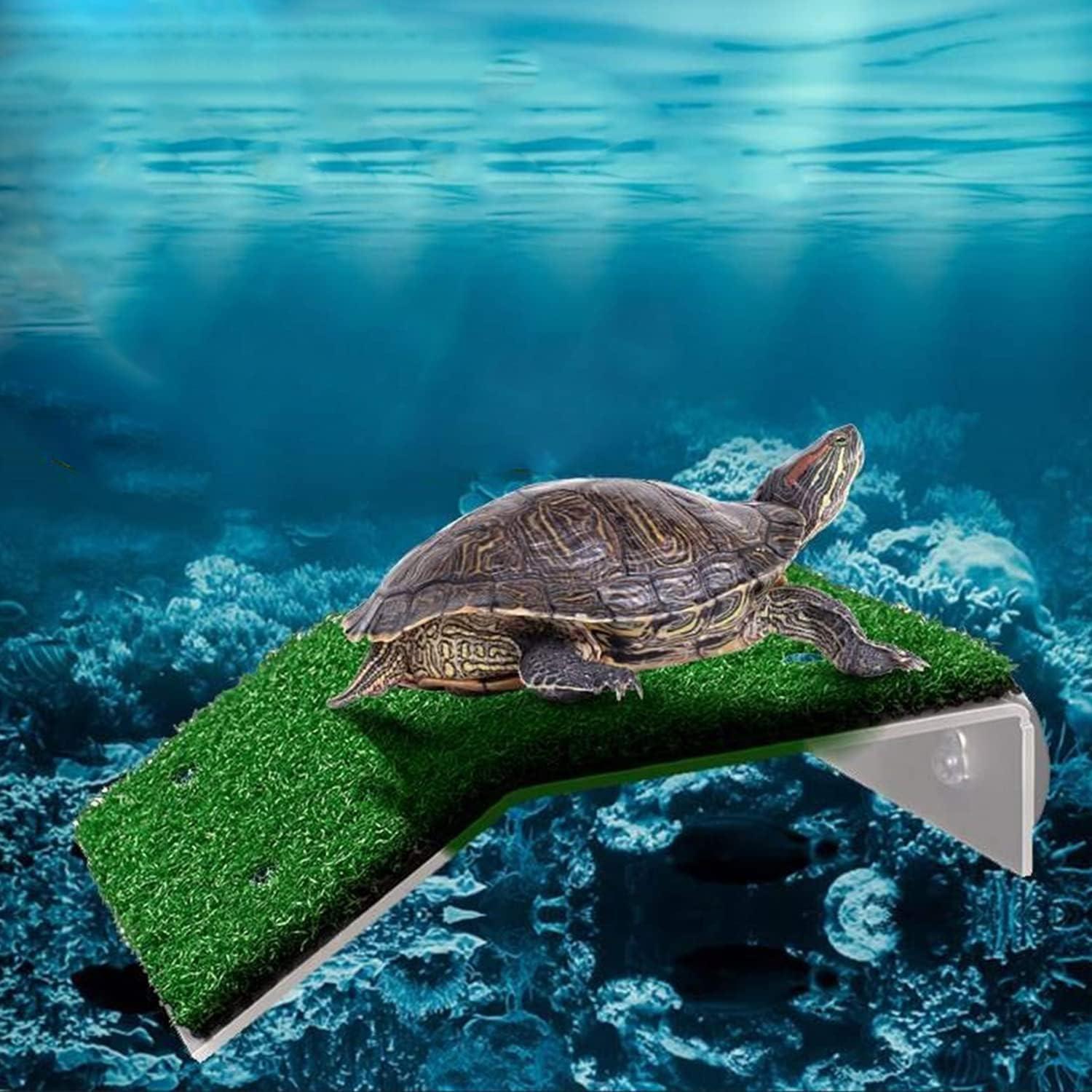 Plataforma de Sol para Tortugas Pequeñas XMHF - Rampa Antideslizante