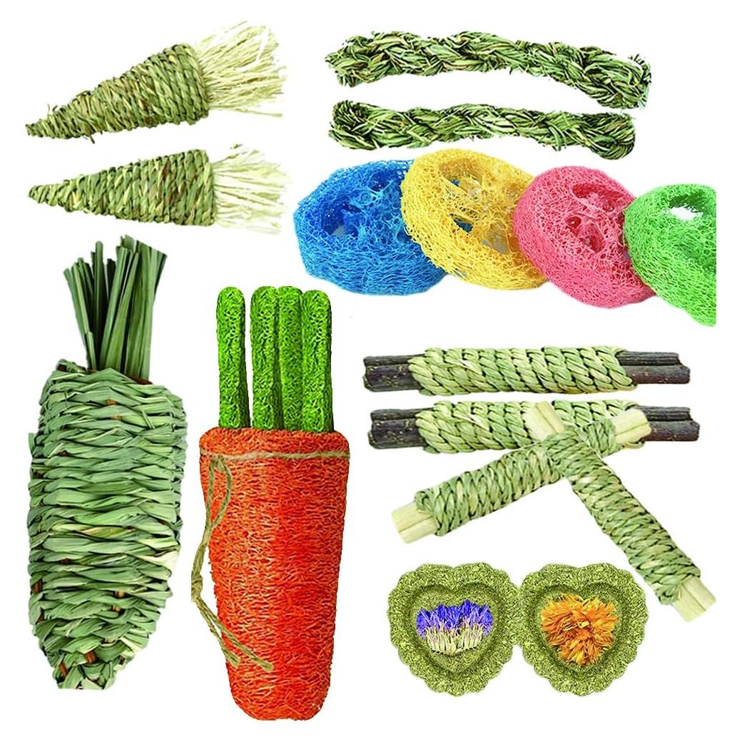 16 Juguetes para Hámster y Conejos Dbeans - Salud Dental