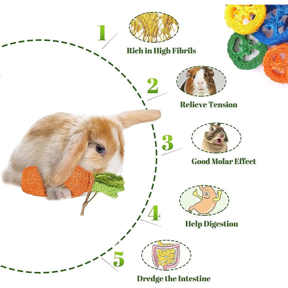 16 Juguetes para Hámster y Conejos Dbeans - Salud Dental